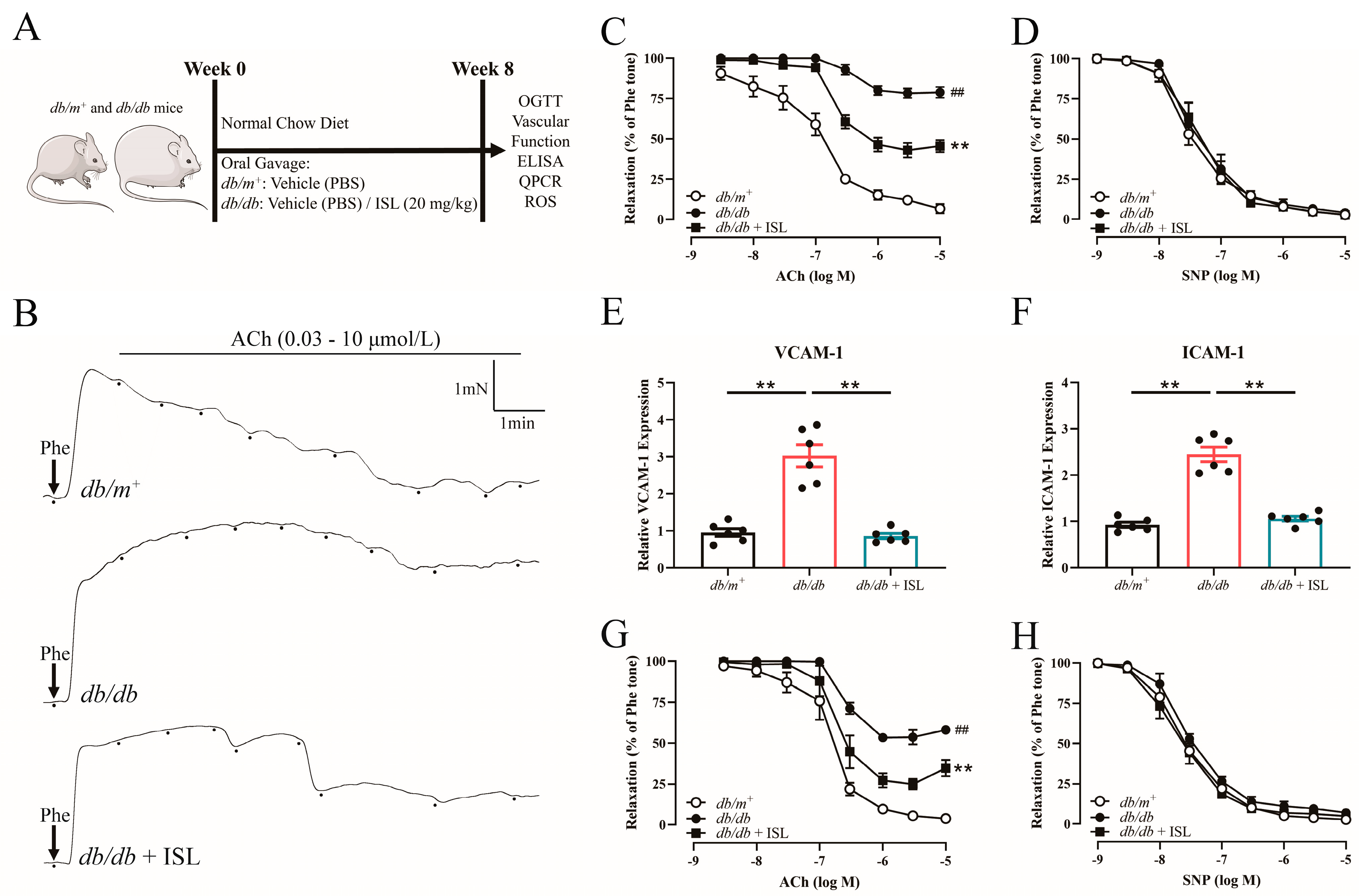 Nutrients 16 03160 g001