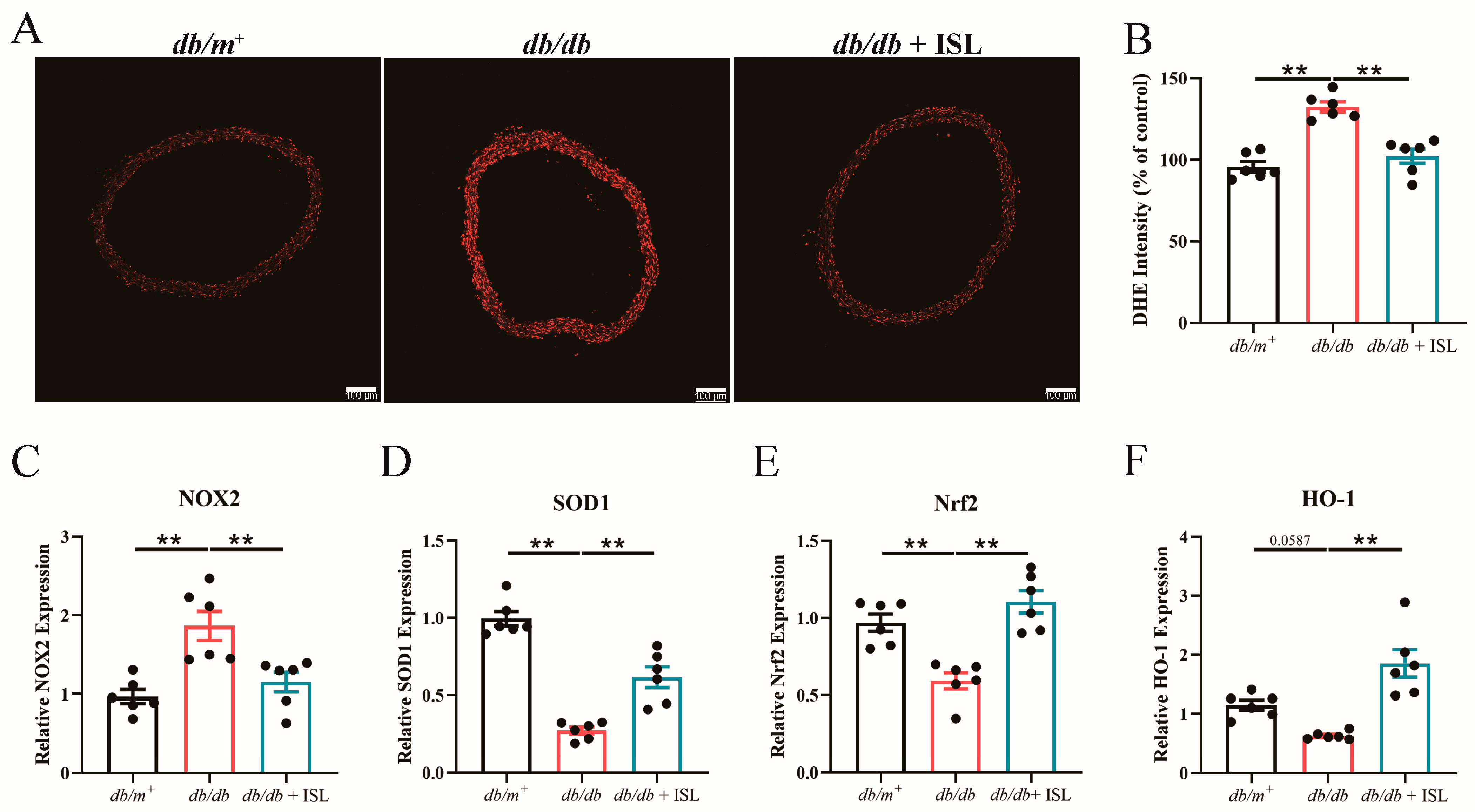 Nutrients 16 03160 g002