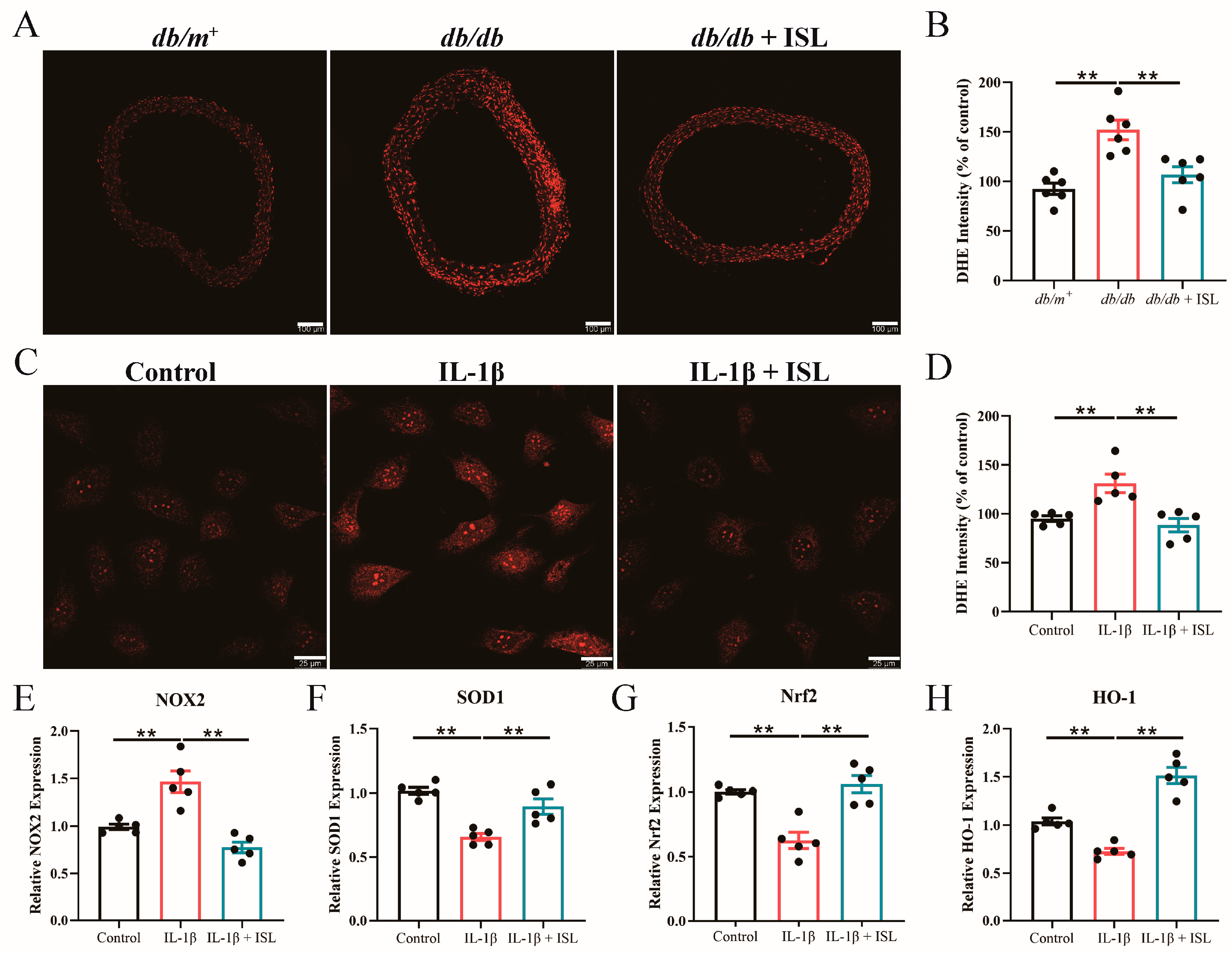 Nutrients 16 03160 g003