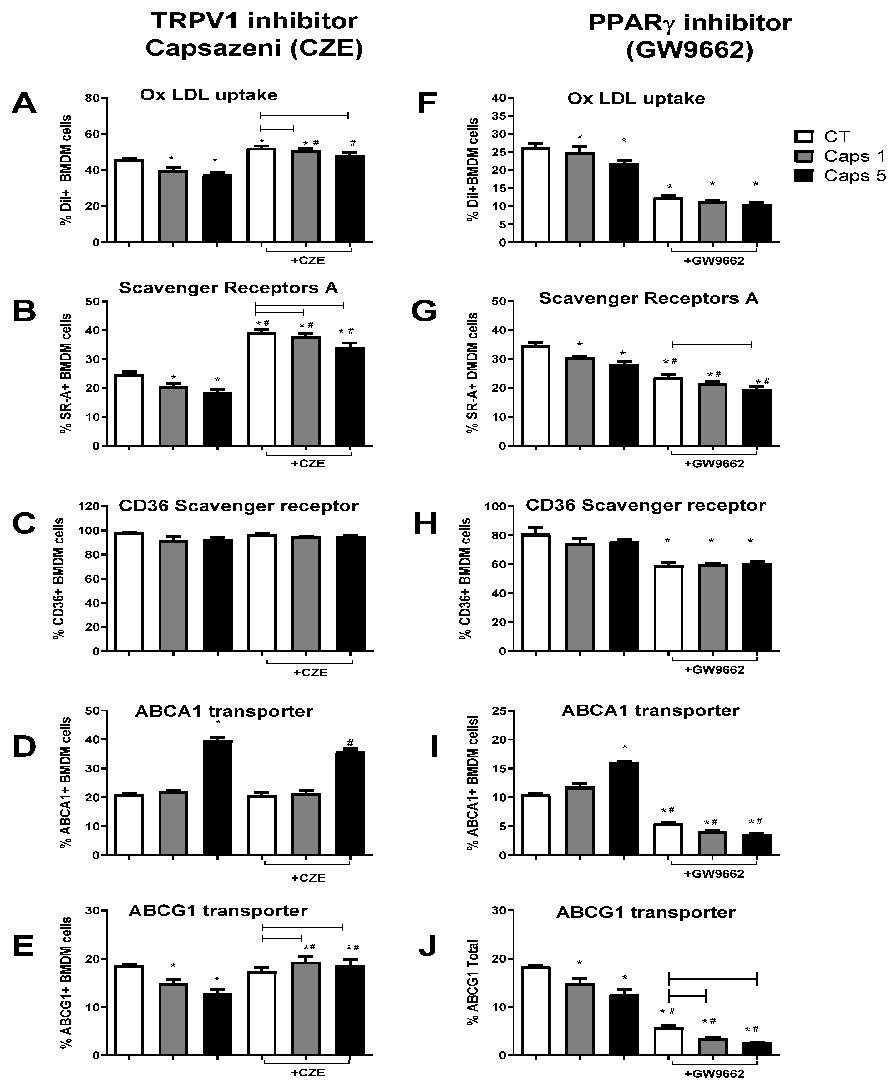 Nutrients 16 03167 g004