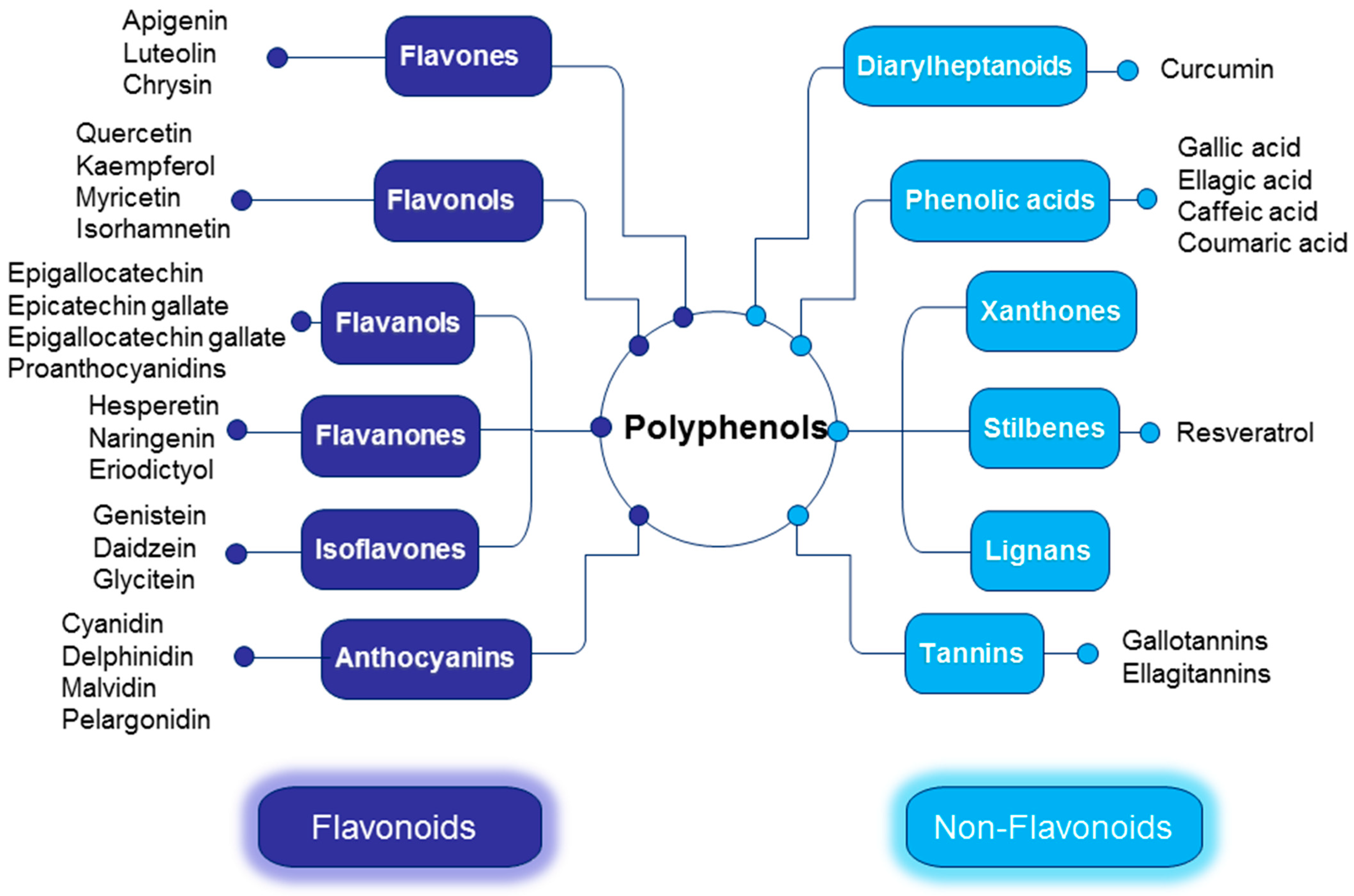 Nutrients 16 03168 g001