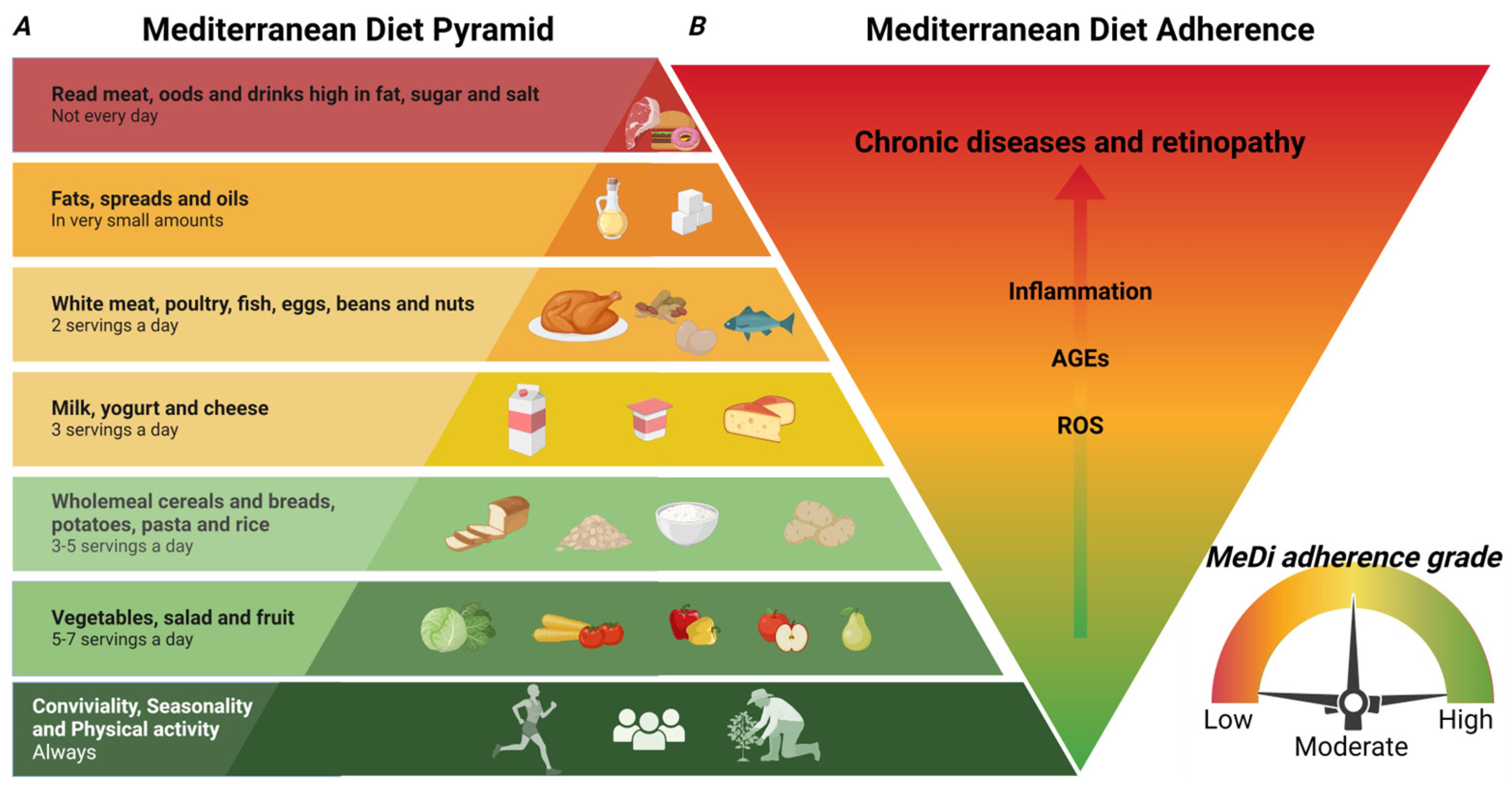 Nutrients 16 03169 g001 Nutrients 16 03169 g001