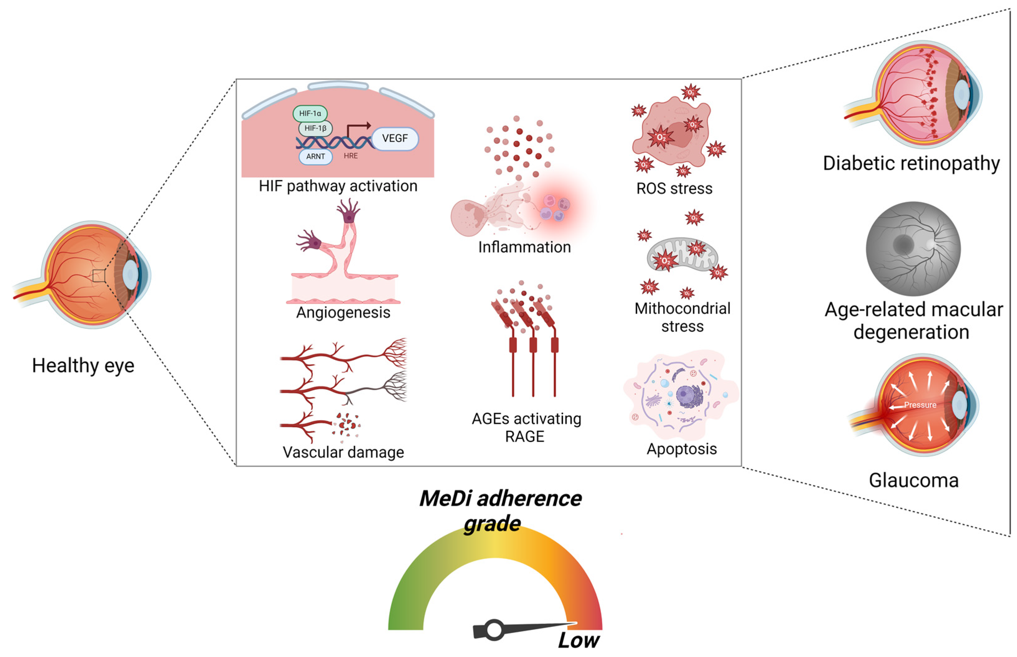 Nutrients 16 03169 g003 Nutrients 16 03169 g003