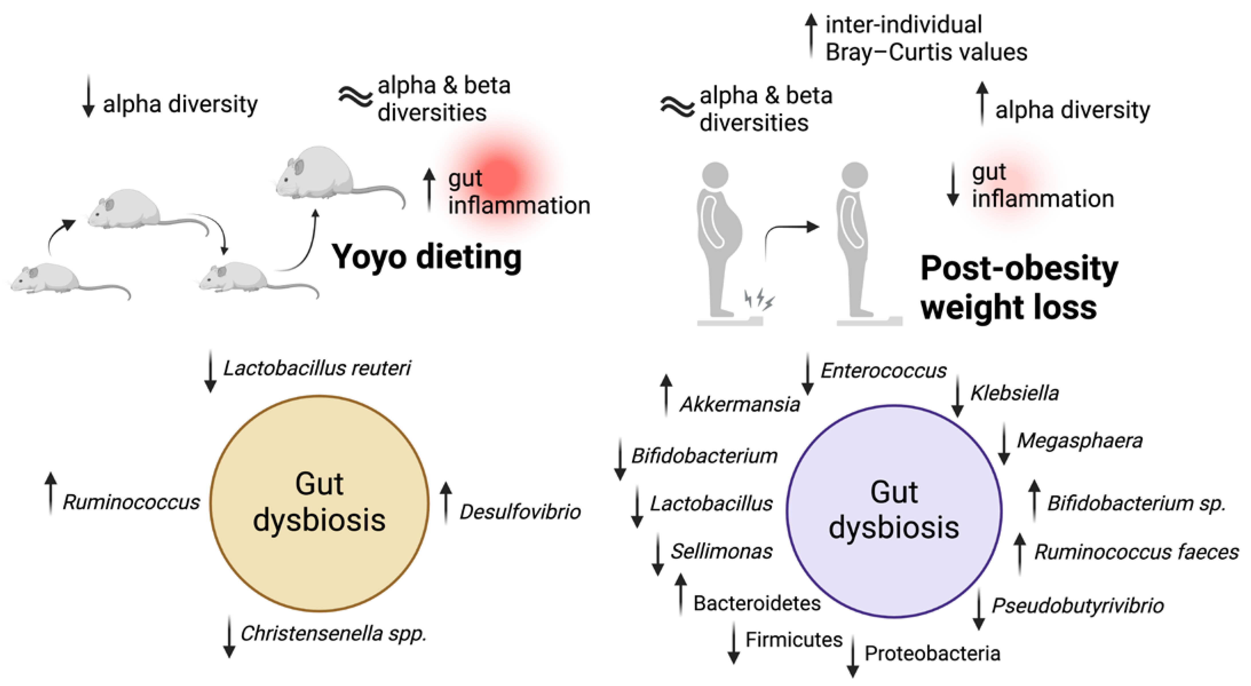 Nutrients 16 03170 g001
