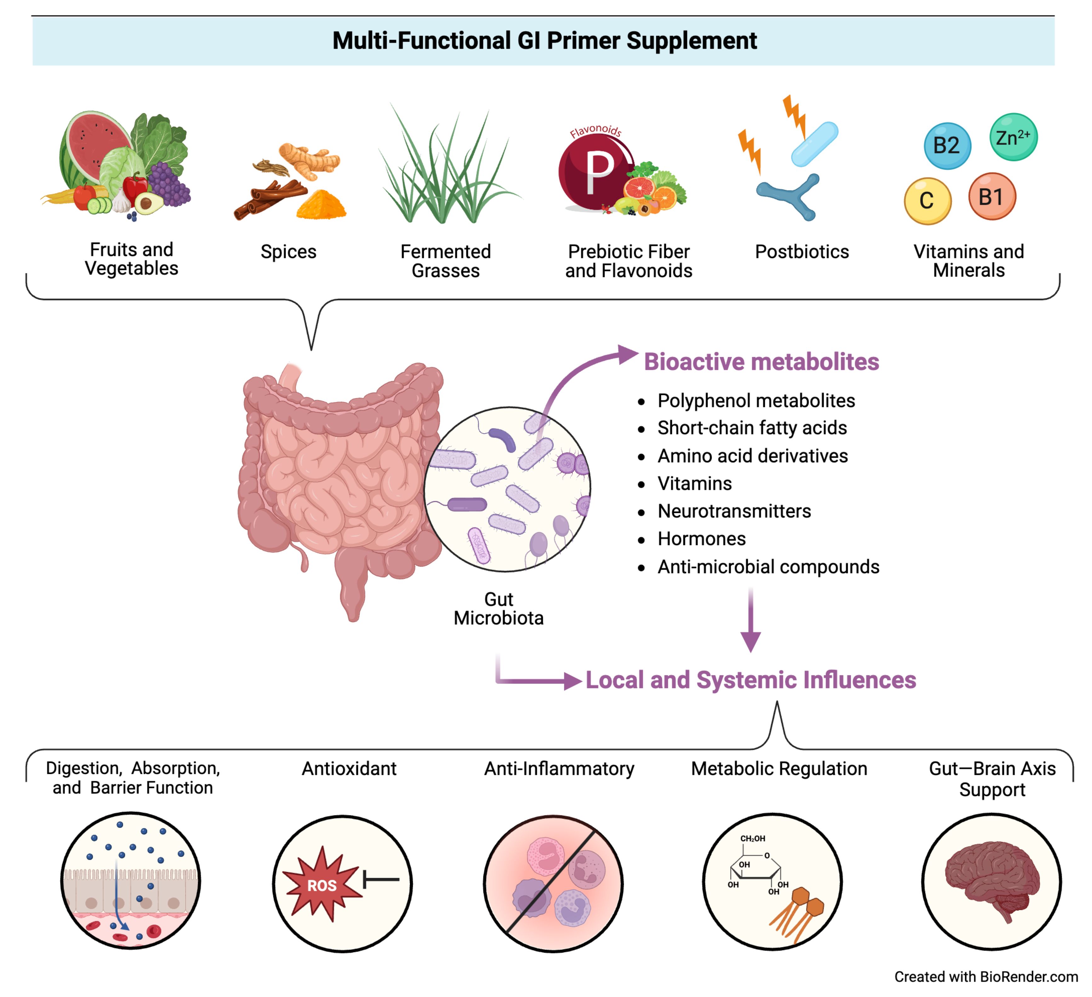 Nutrients 16 03173 g001
