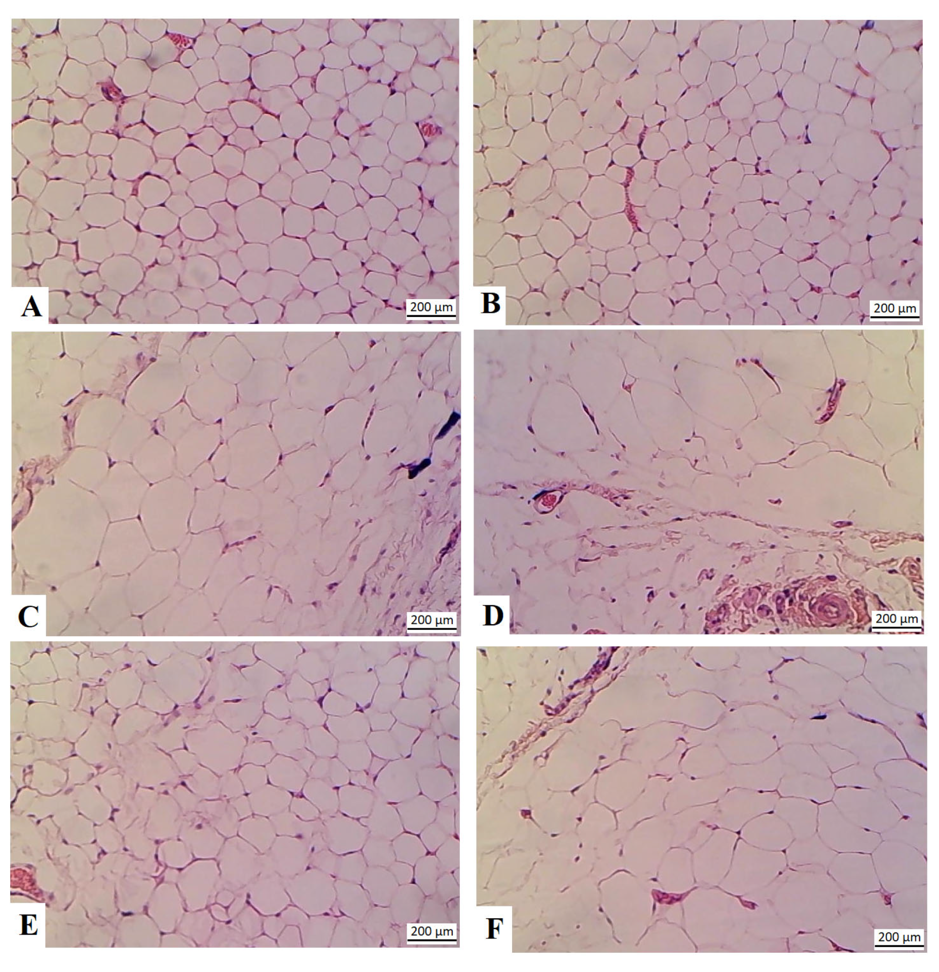 Nutrients 16 03174 g009