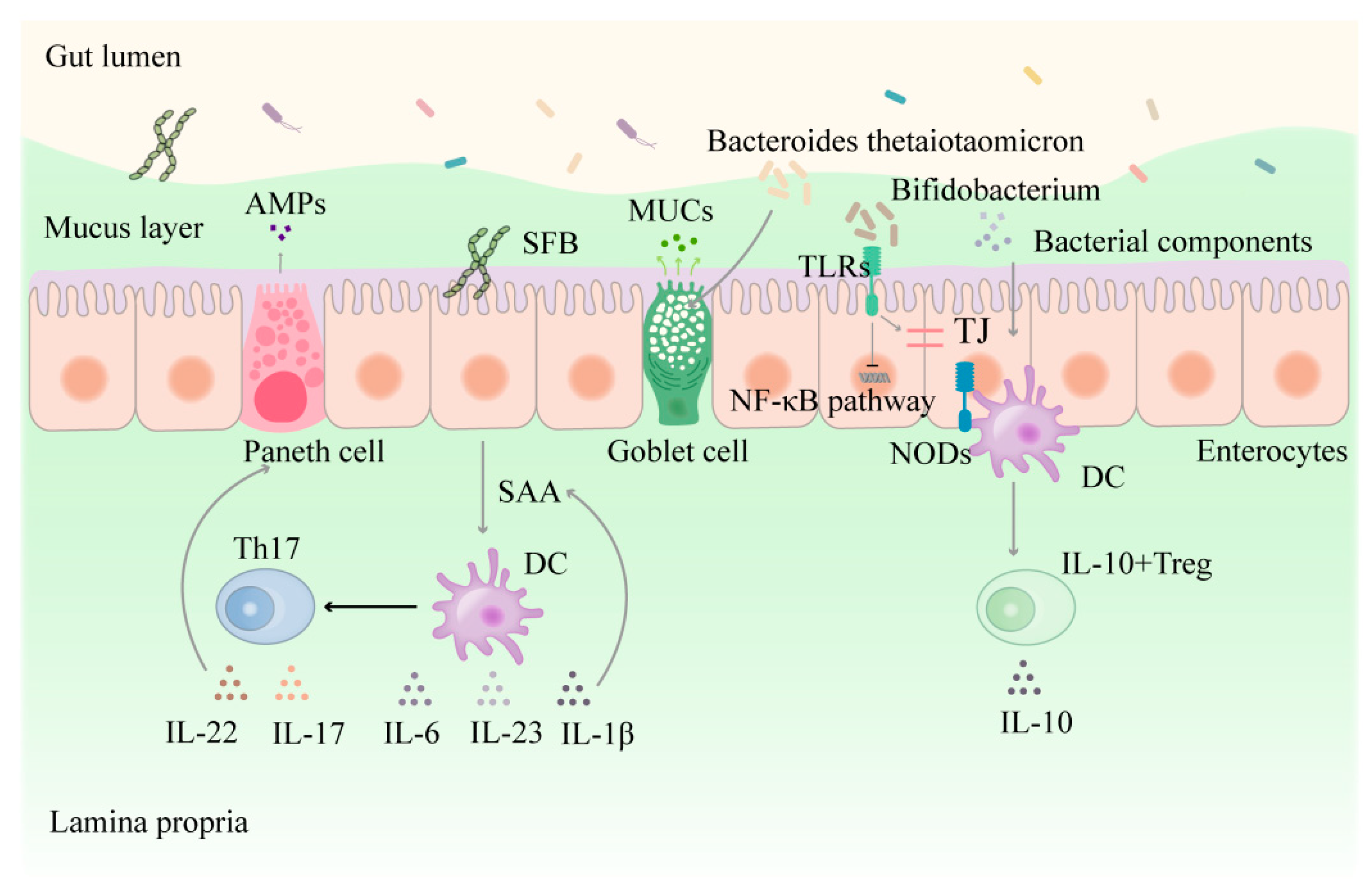 Nutrients 16 03192 g002