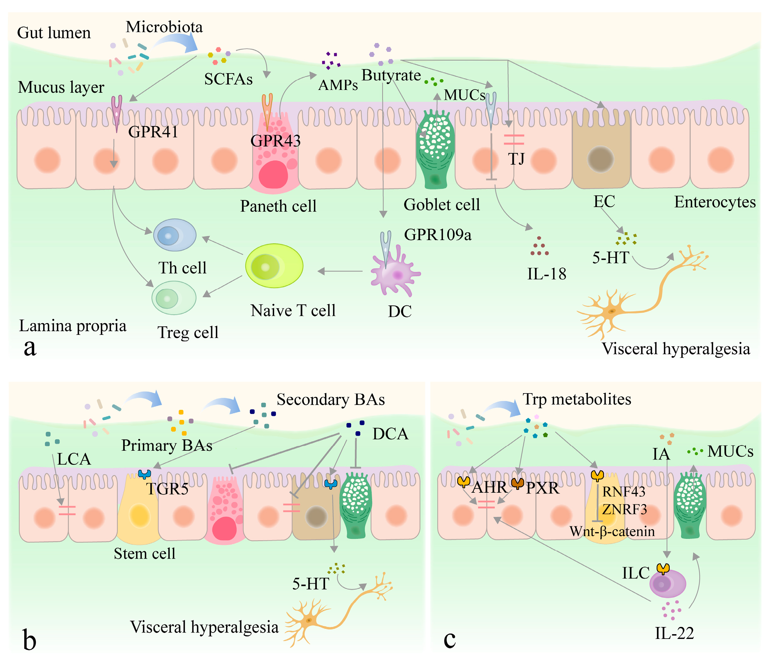 Nutrients 16 03192 g003