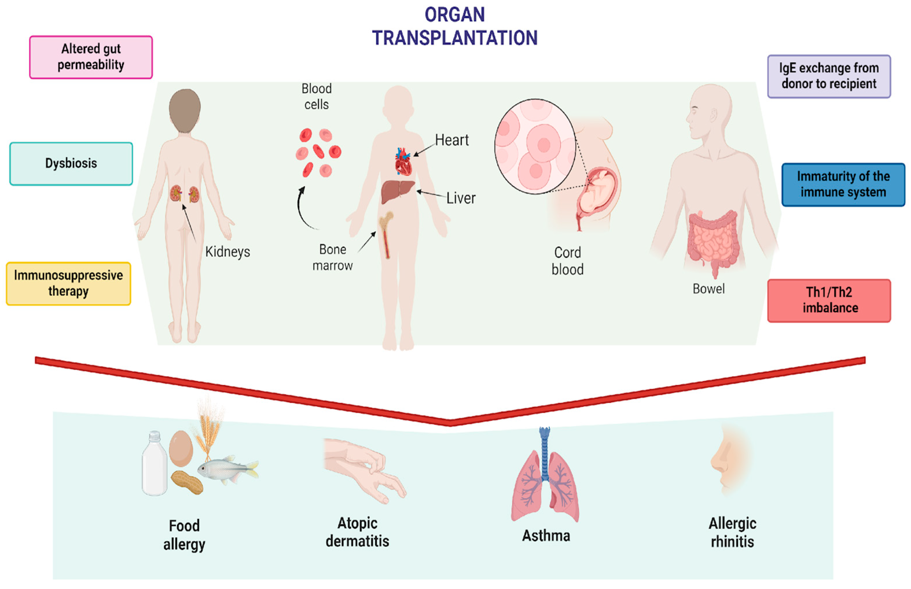 Nutrients 16 03201 g001 Nutrients 16 03201 g001