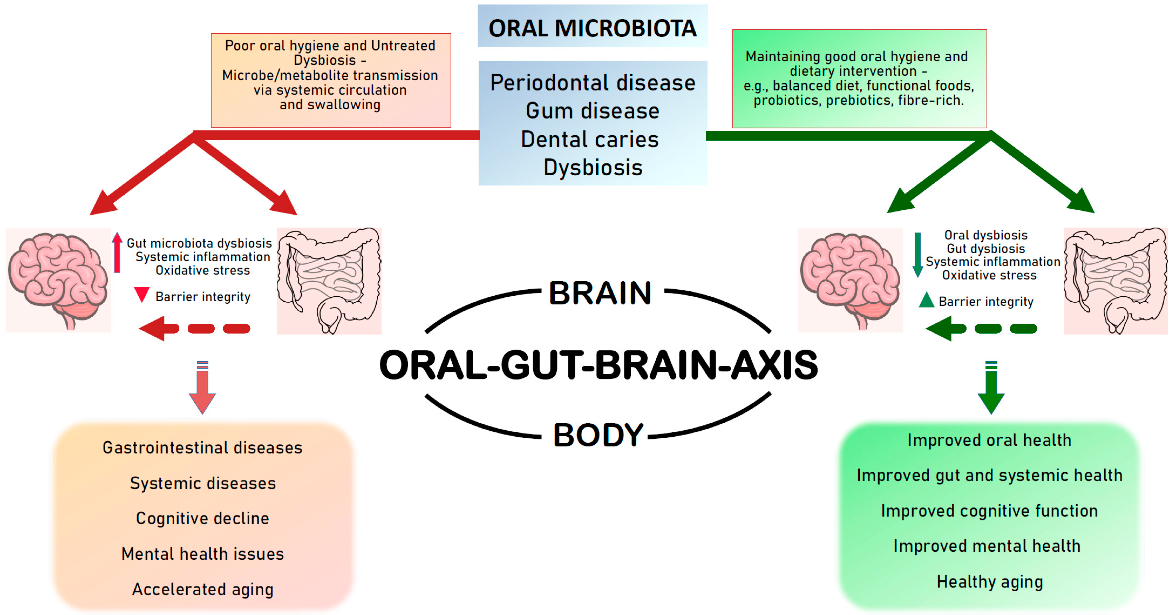 Nutrients 16 03206 g001
