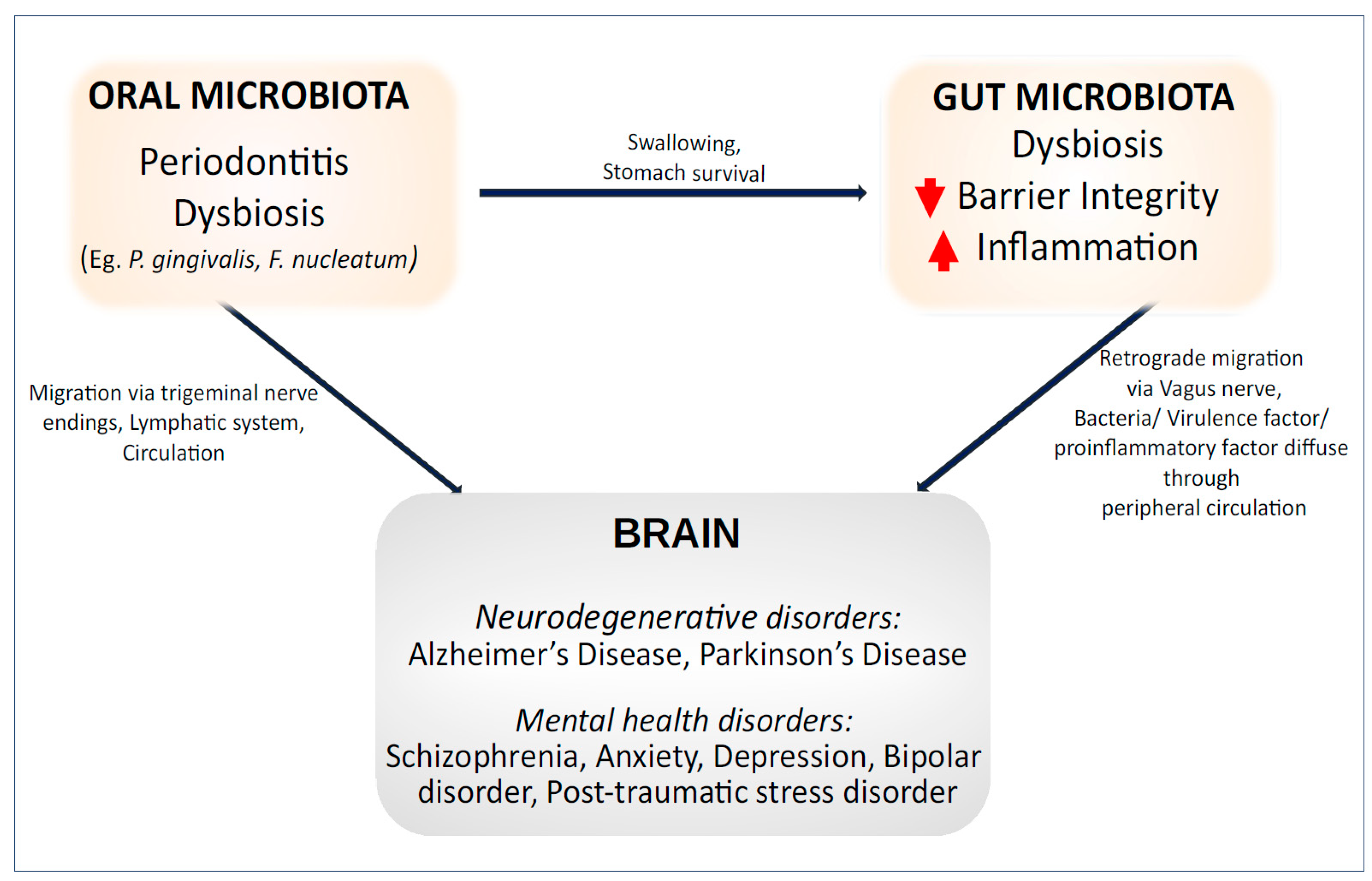 Nutrients 16 03206 g003
