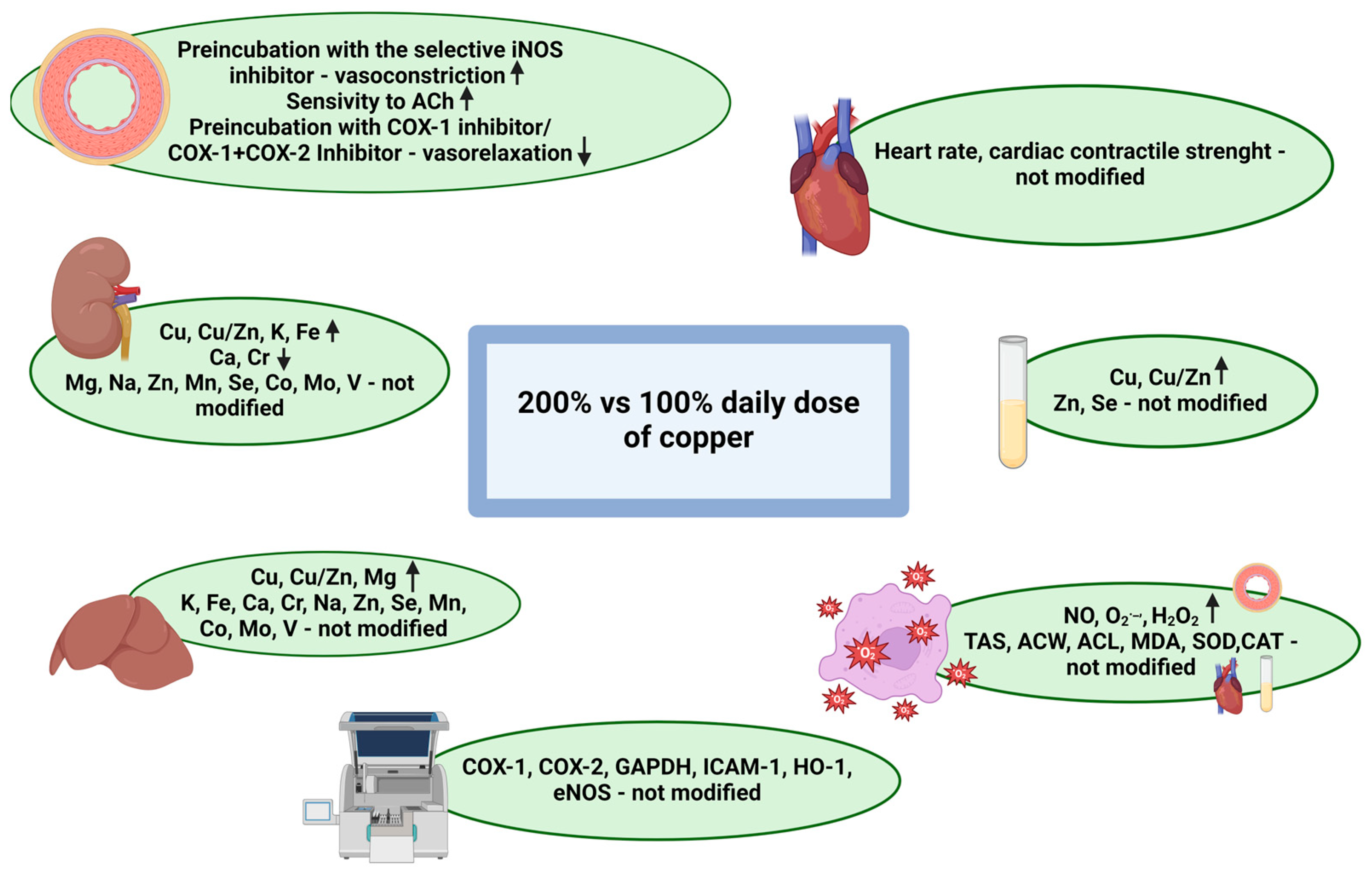 Nutrients 16 03230 g005