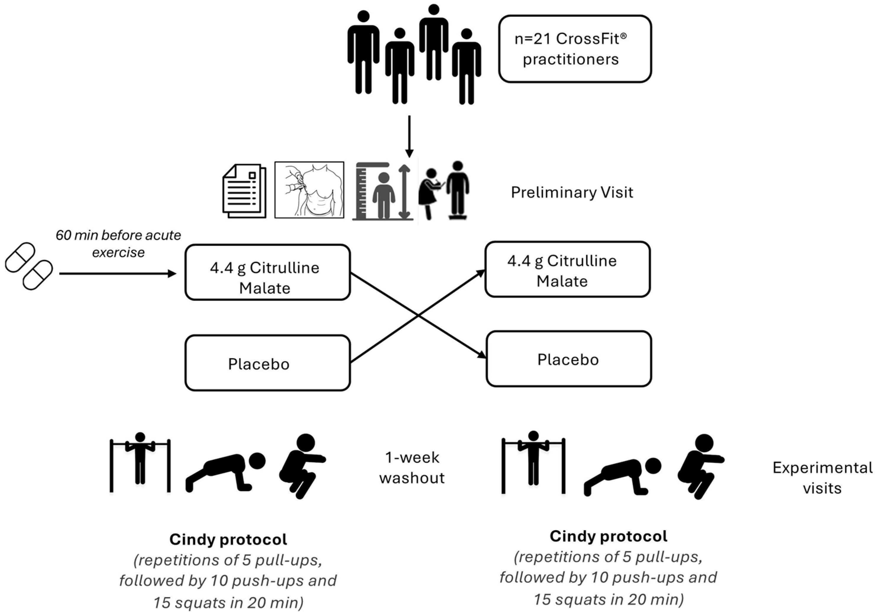 Nutrients 16 03235 g001