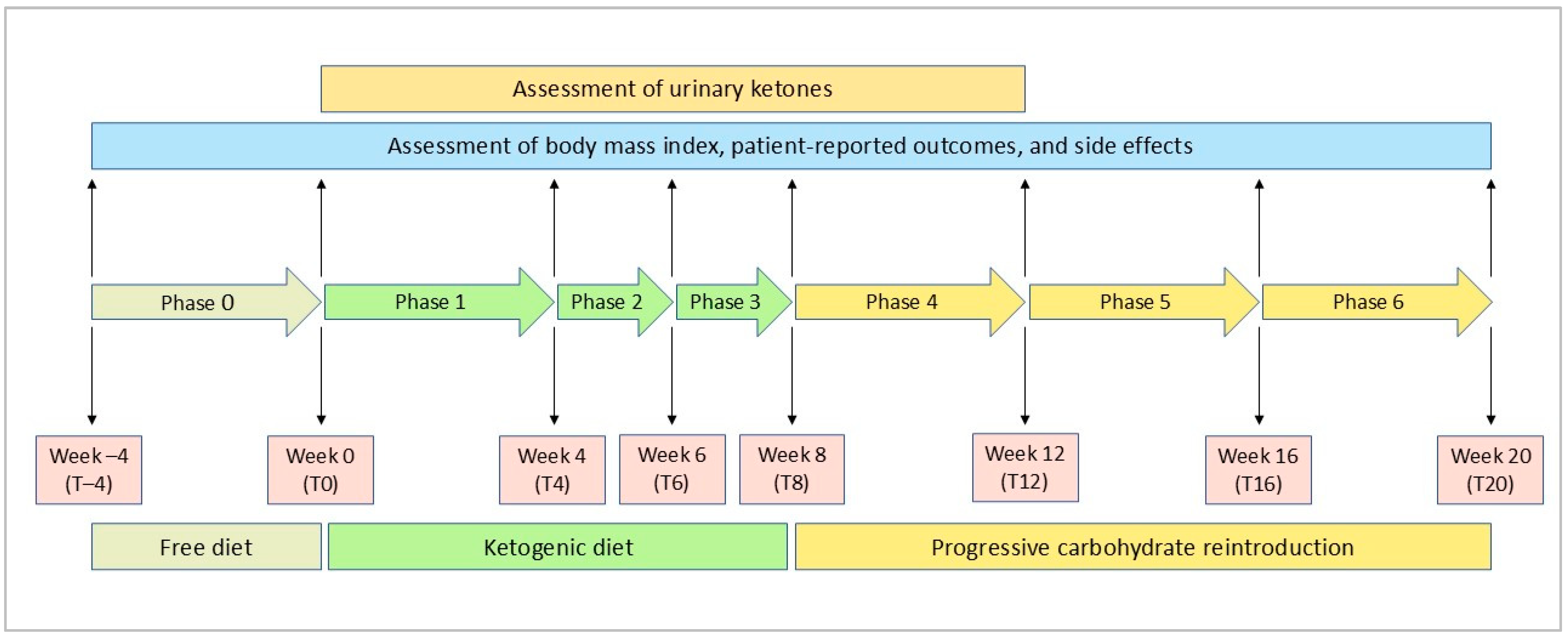 Nutrients 16 03236 g001