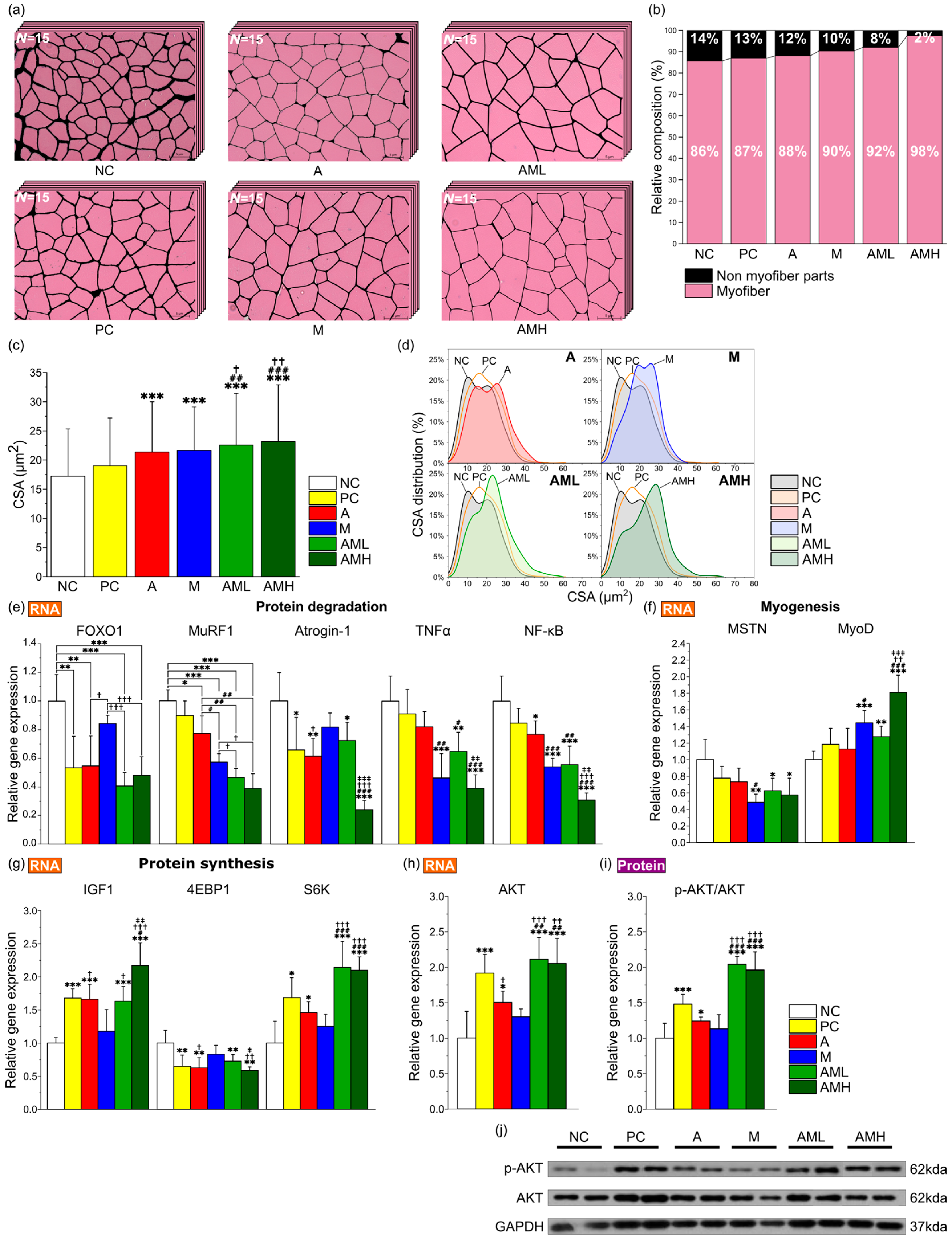 Nutrients 16 03255 g003