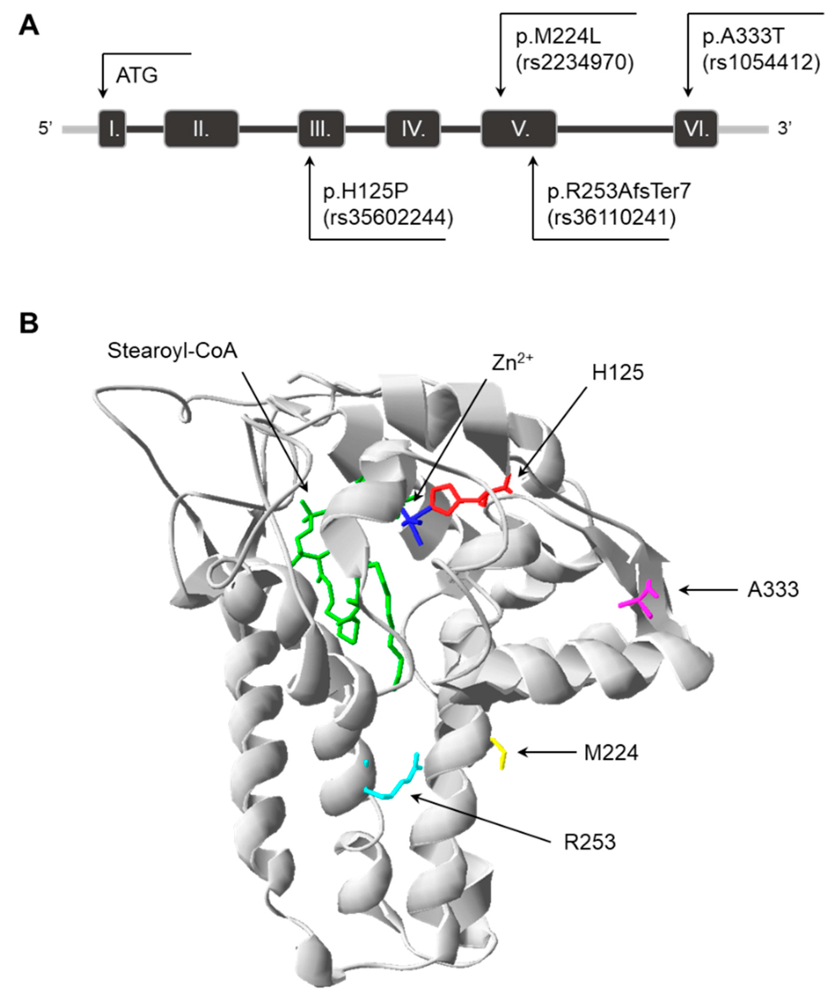 Nutrients 16 03259 g001 Nutrients 16 03259 g001