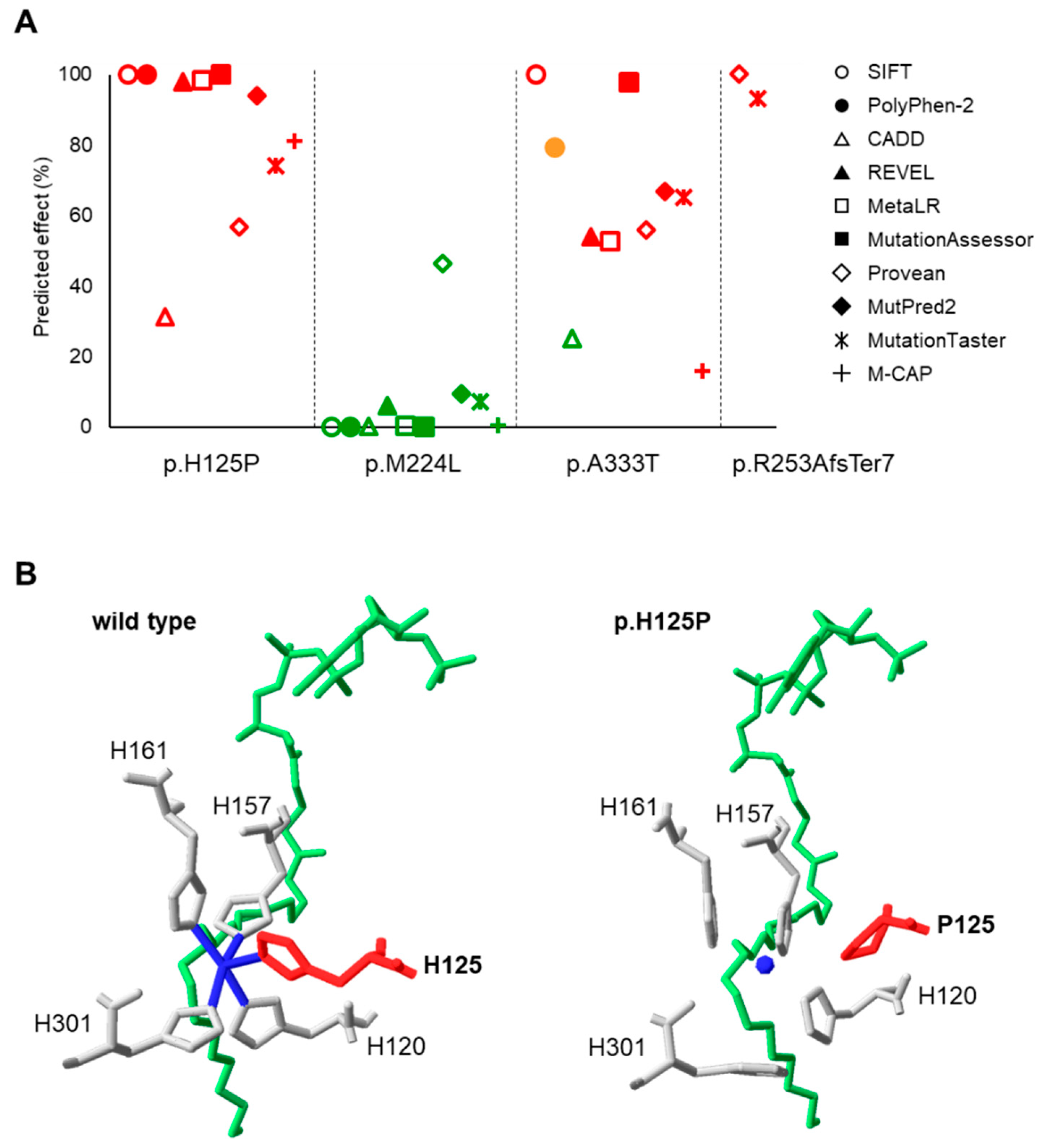 Nutrients 16 03259 g002 Nutrients 16 03259 g002