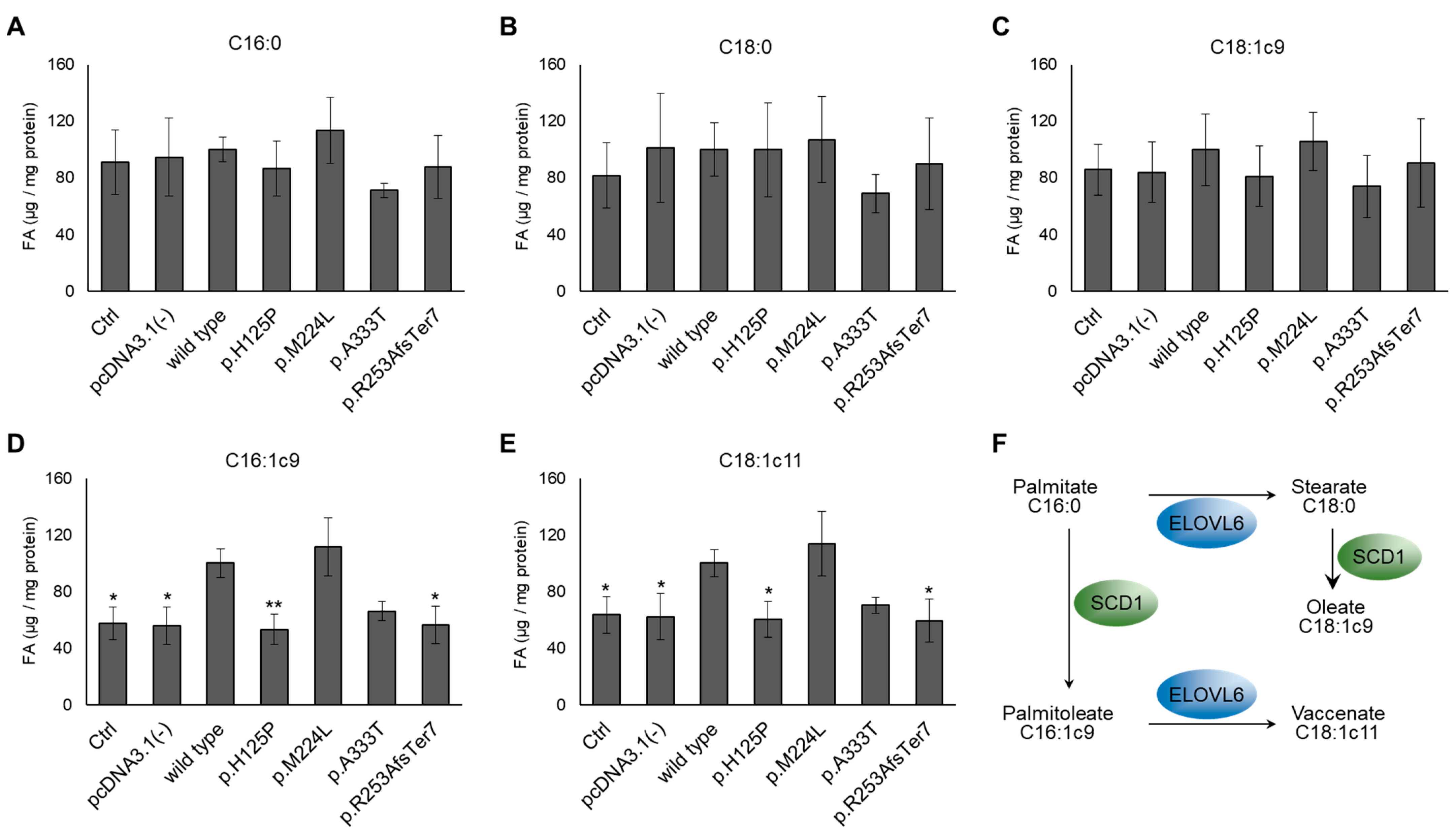 Nutrients 16 03259 g003 Nutrients 16 03259 g003
