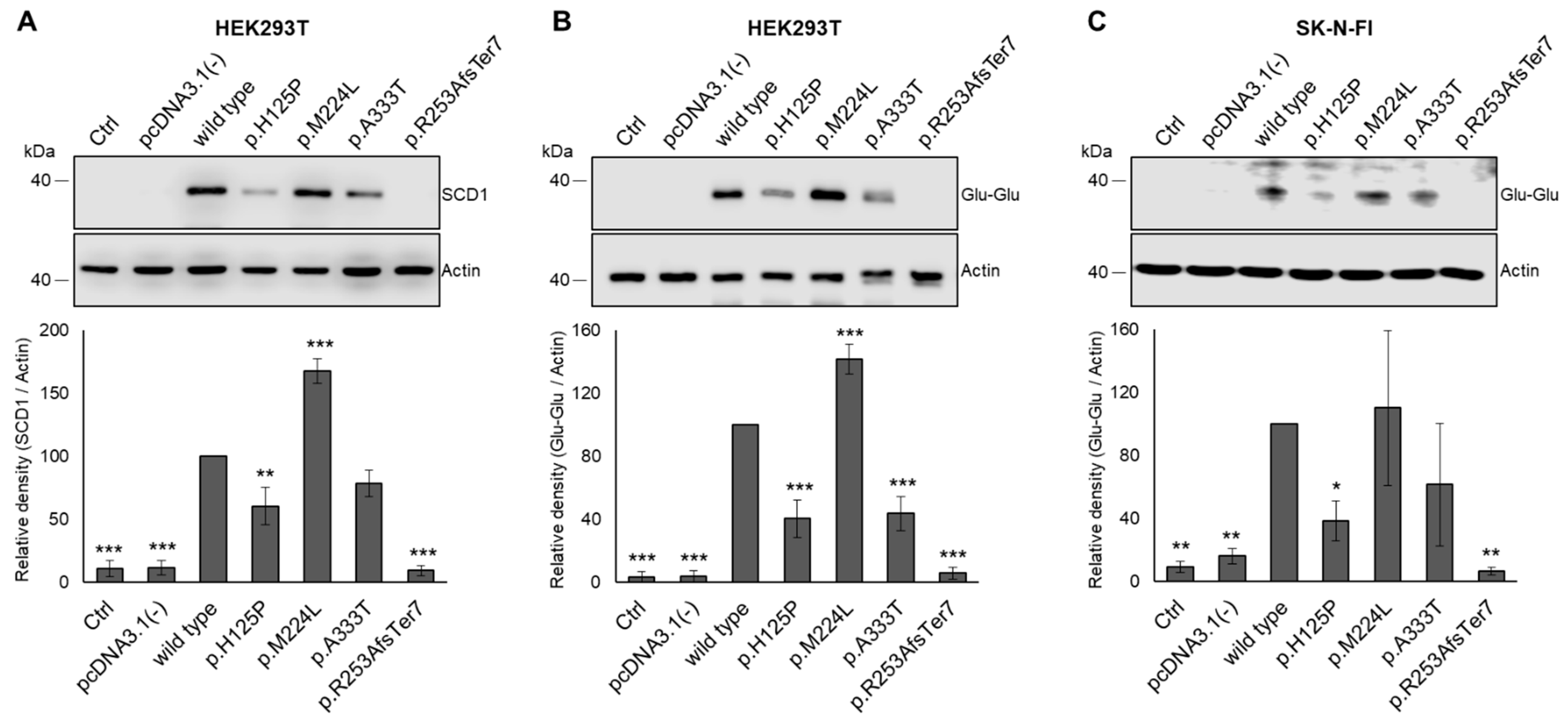 Nutrients 16 03259 g004 Nutrients 16 03259 g004