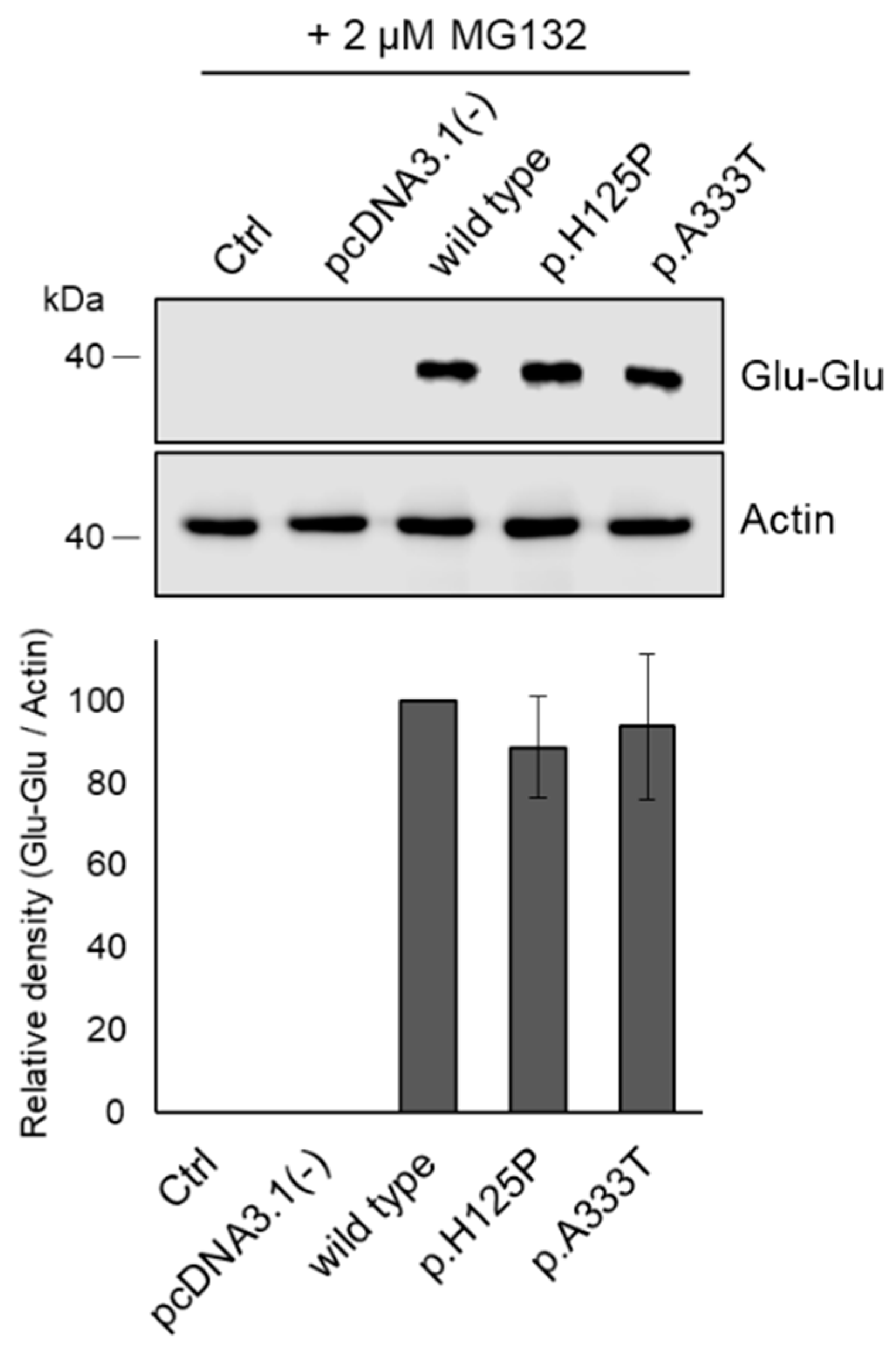 Nutrients 16 03259 g006 Nutrients 16 03259 g006