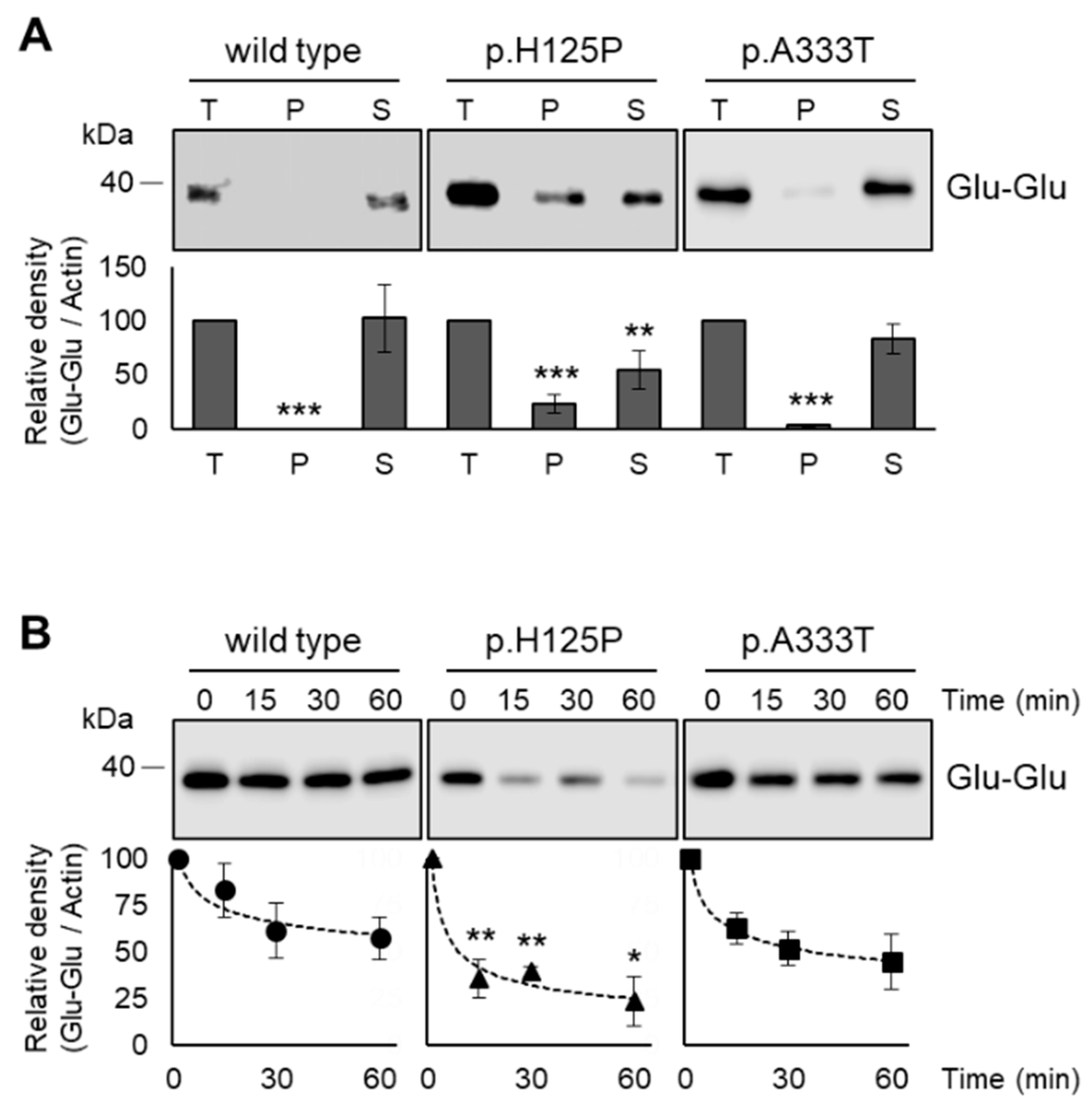 Nutrients 16 03259 g007 Nutrients 16 03259 g007