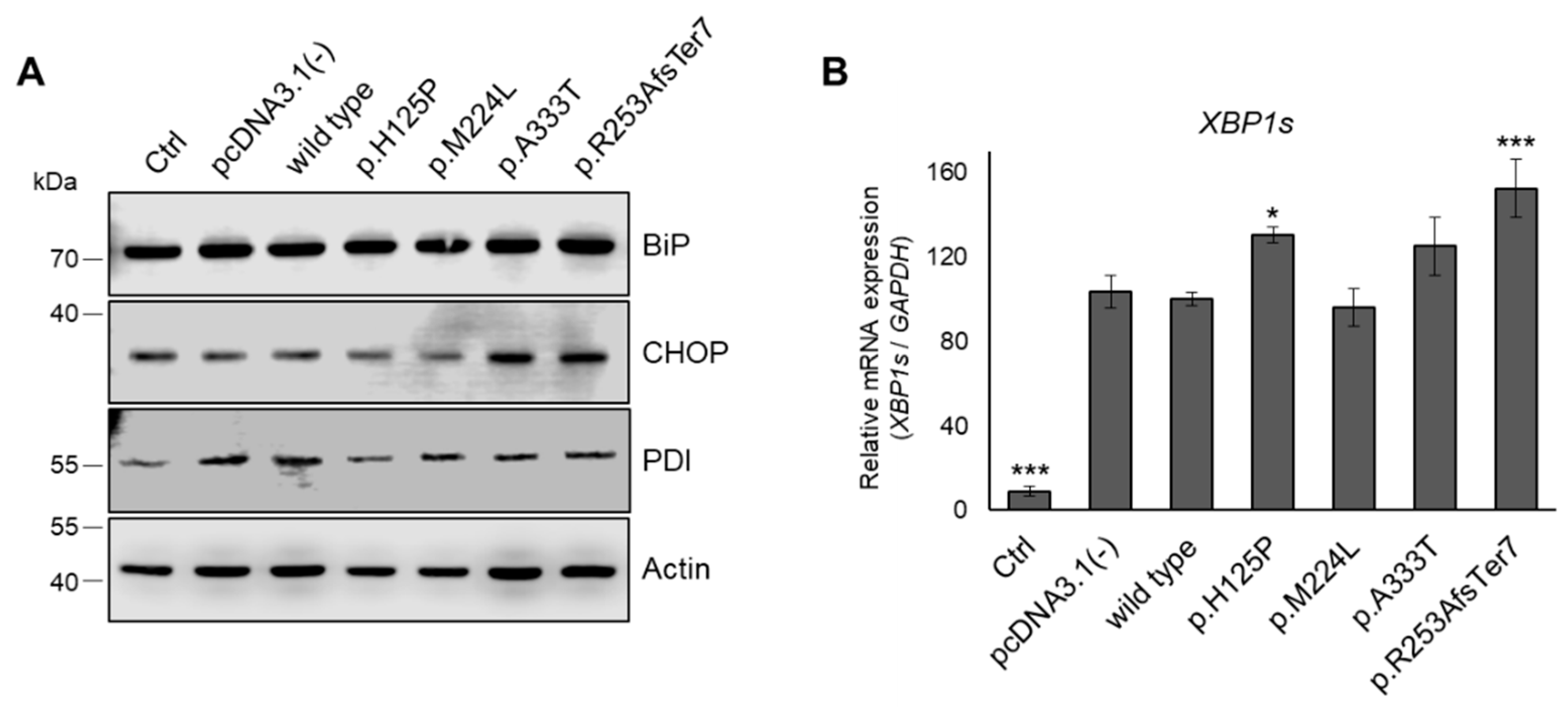 Nutrients 16 03259 g008 Nutrients 16 03259 g008