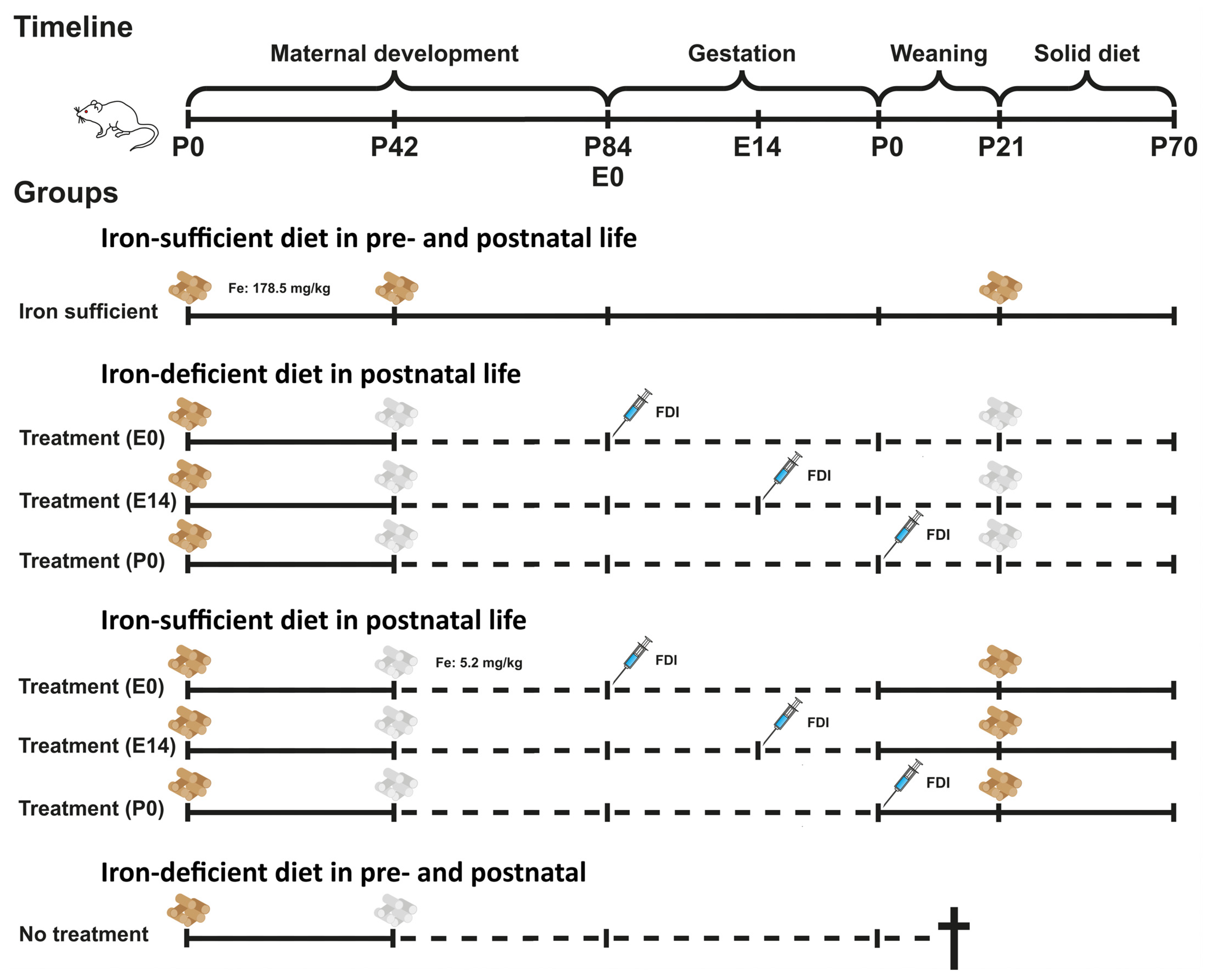 Nutrients 16 03264 g001