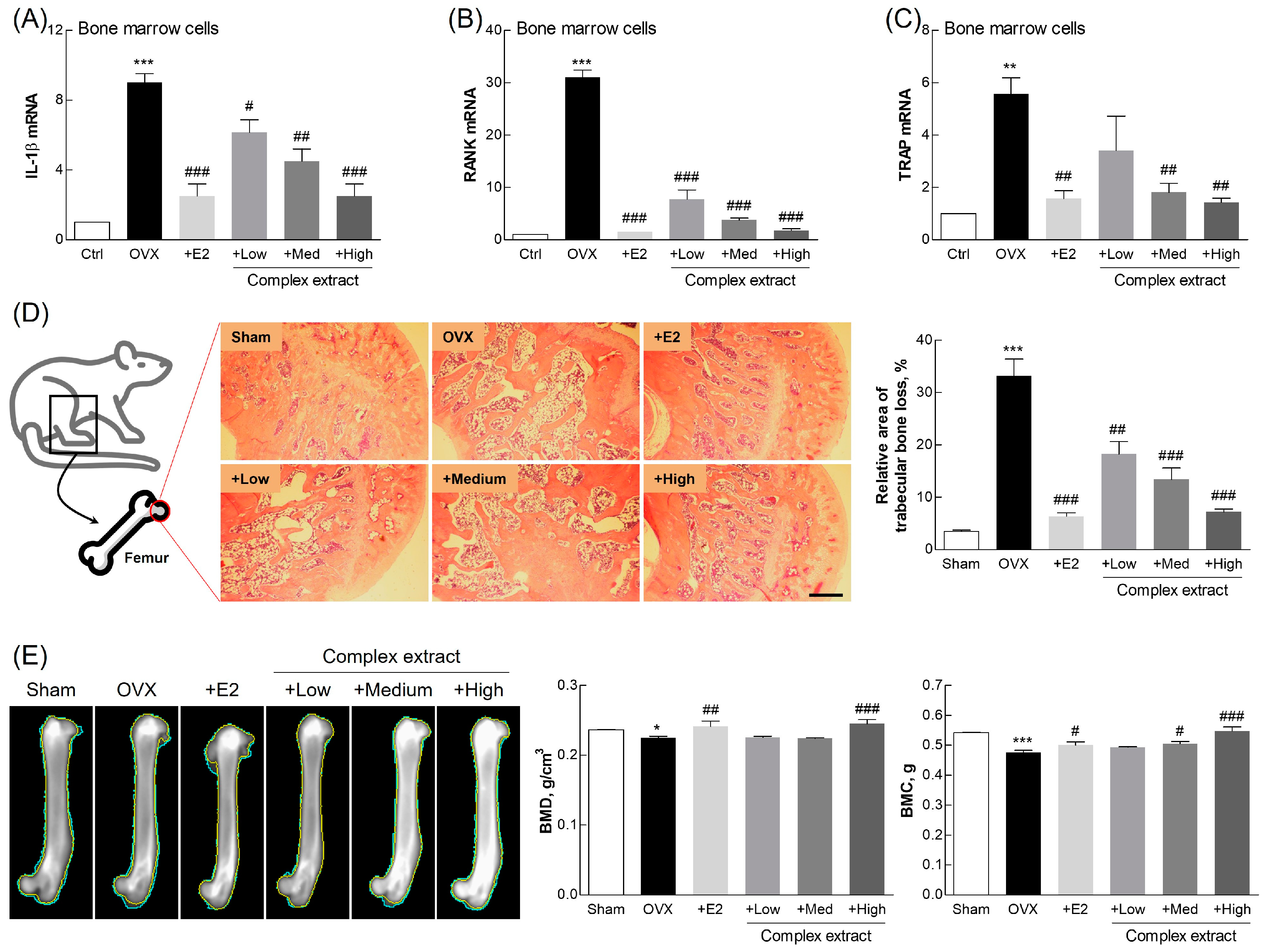 Nutrients 16 03297 g008