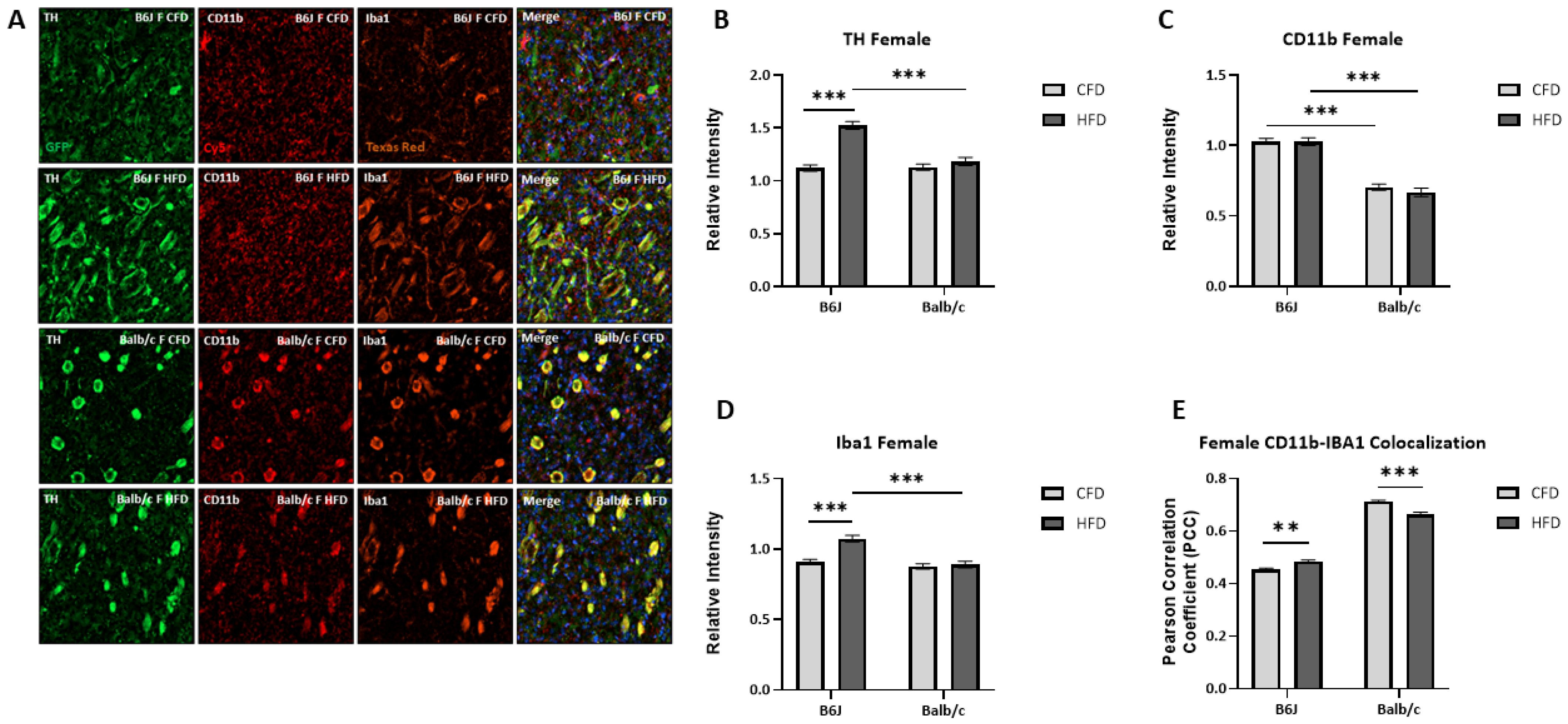 Nutrients 16 03301 g007