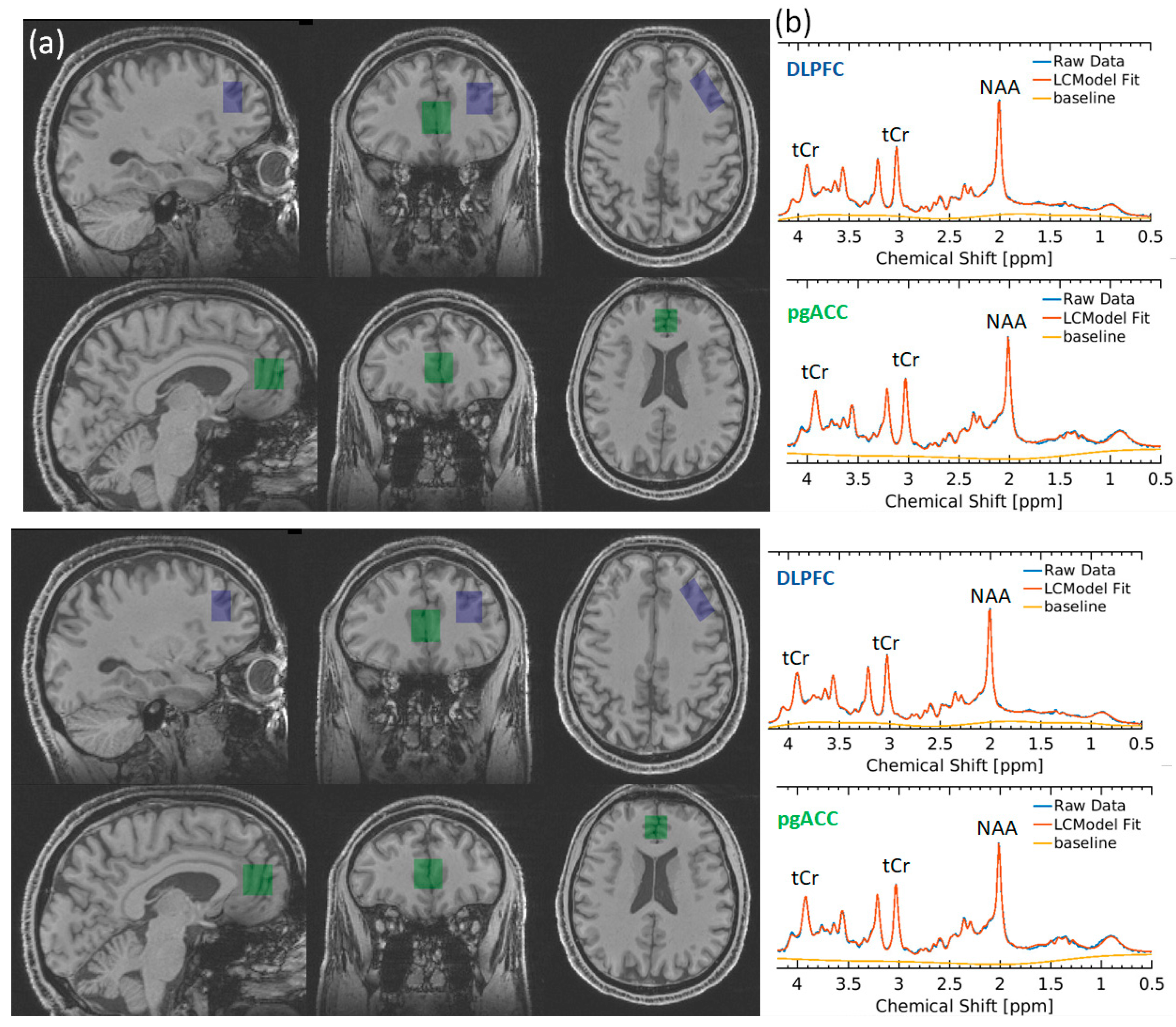 Nutrients 16 03308 g001