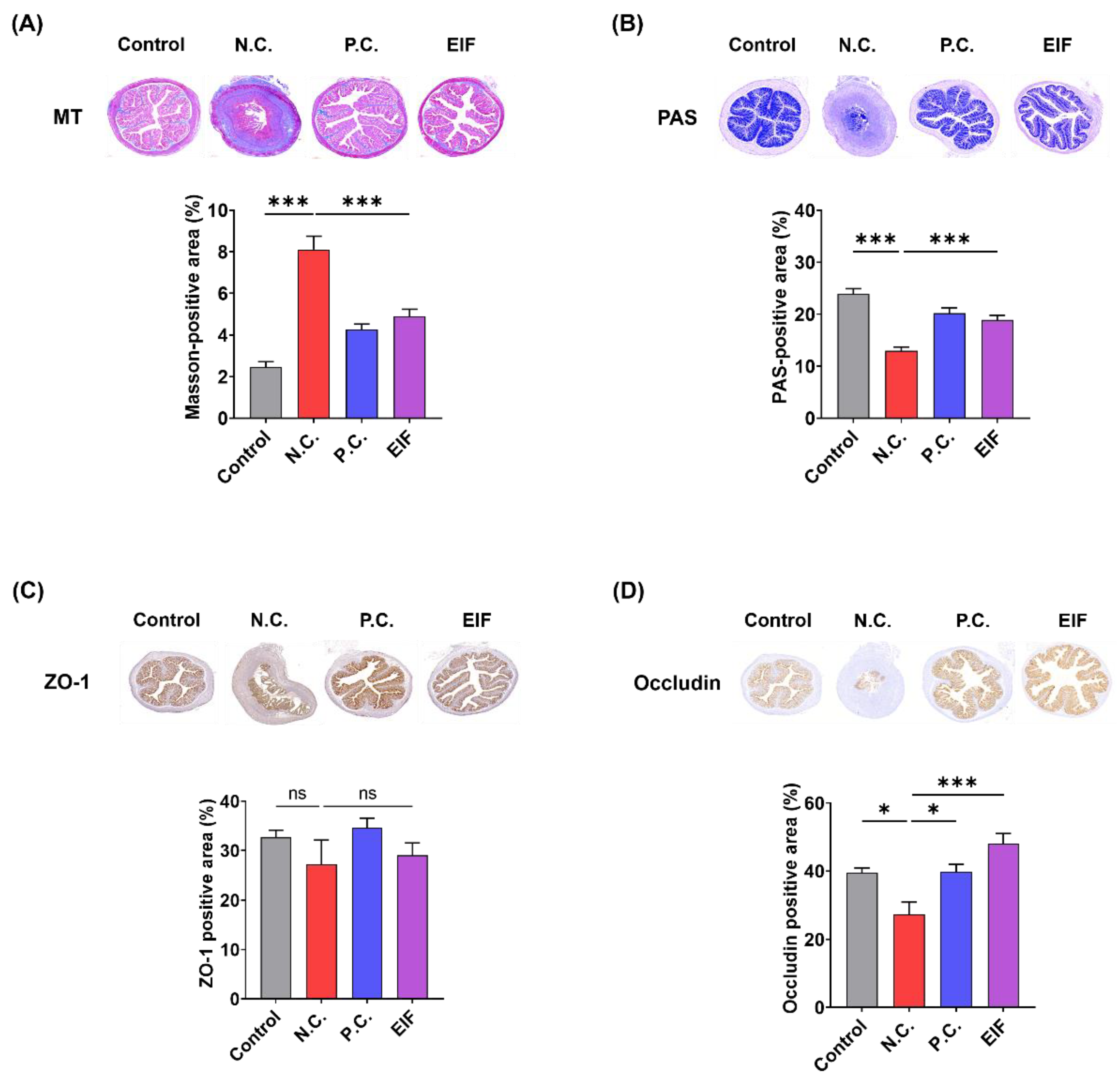 Nutrients 16 03323 g002 Nutrients 16 03323 g002