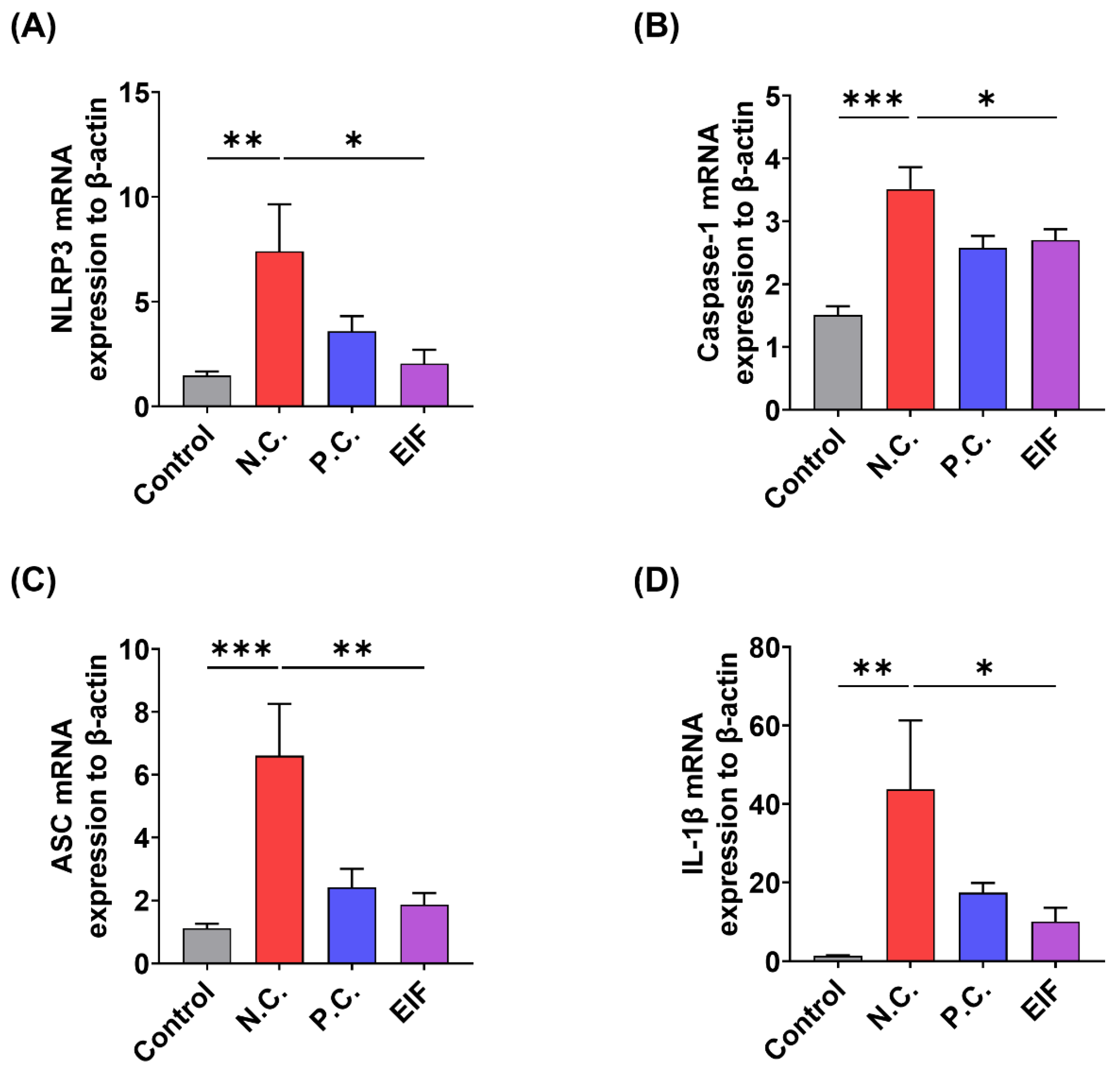 Nutrients 16 03323 g003 Nutrients 16 03323 g003