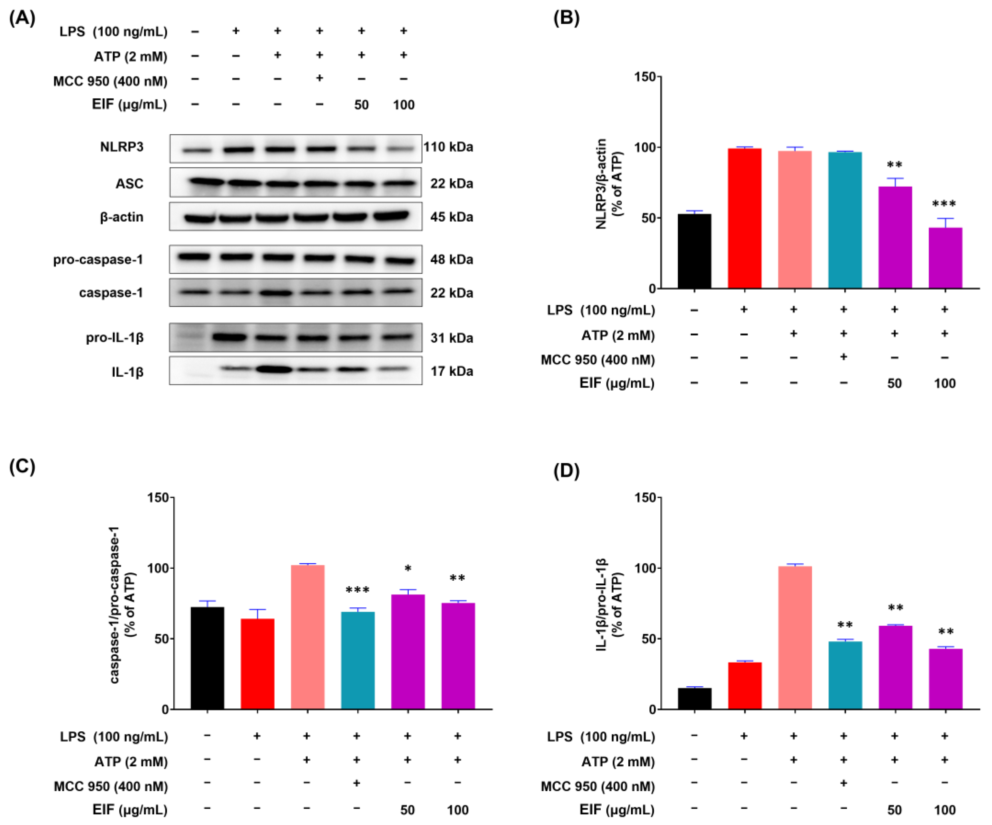 Nutrients 16 03323 g005 Nutrients 16 03323 g005