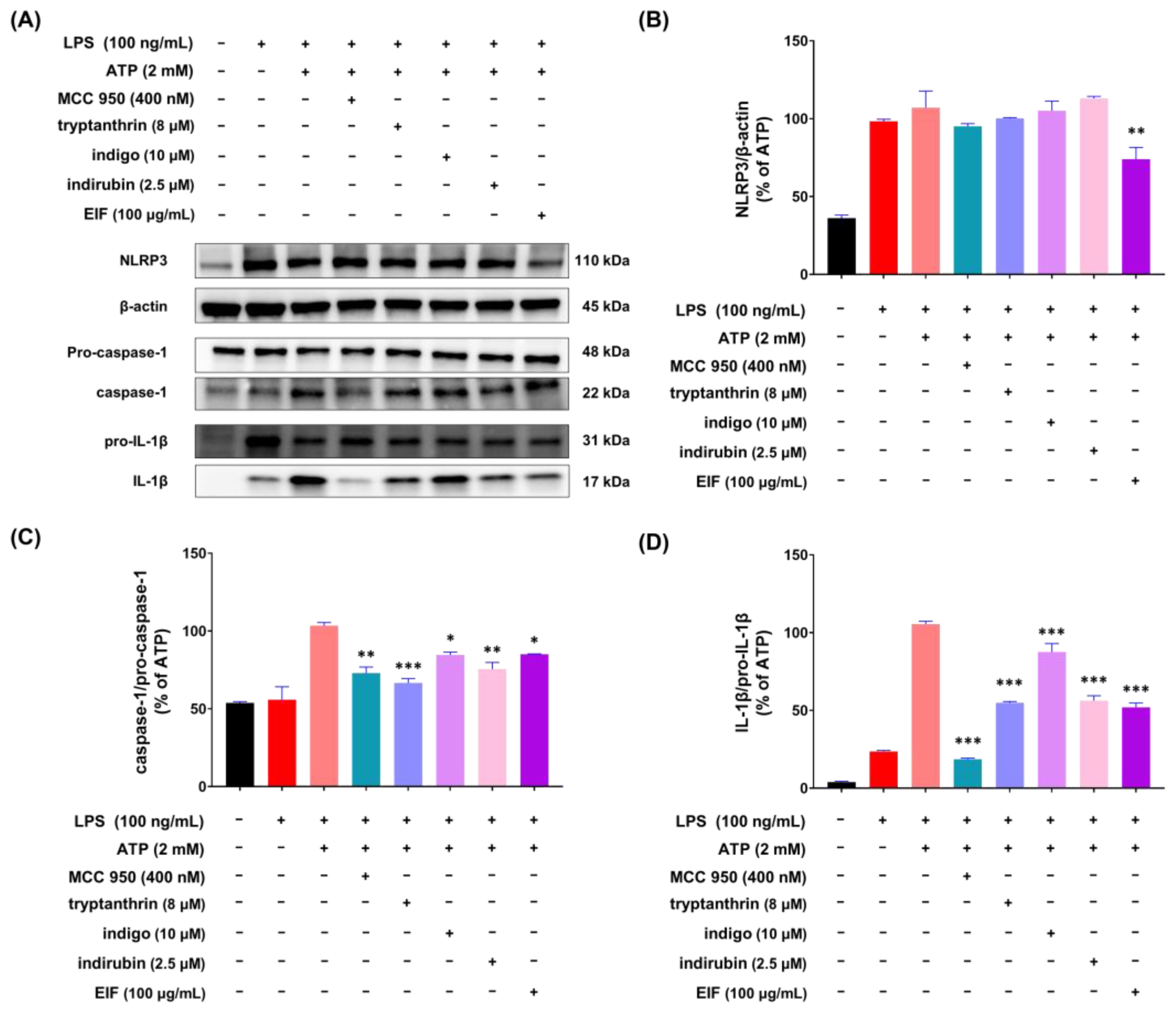Nutrients 16 03323 g007 Nutrients 16 03323 g007