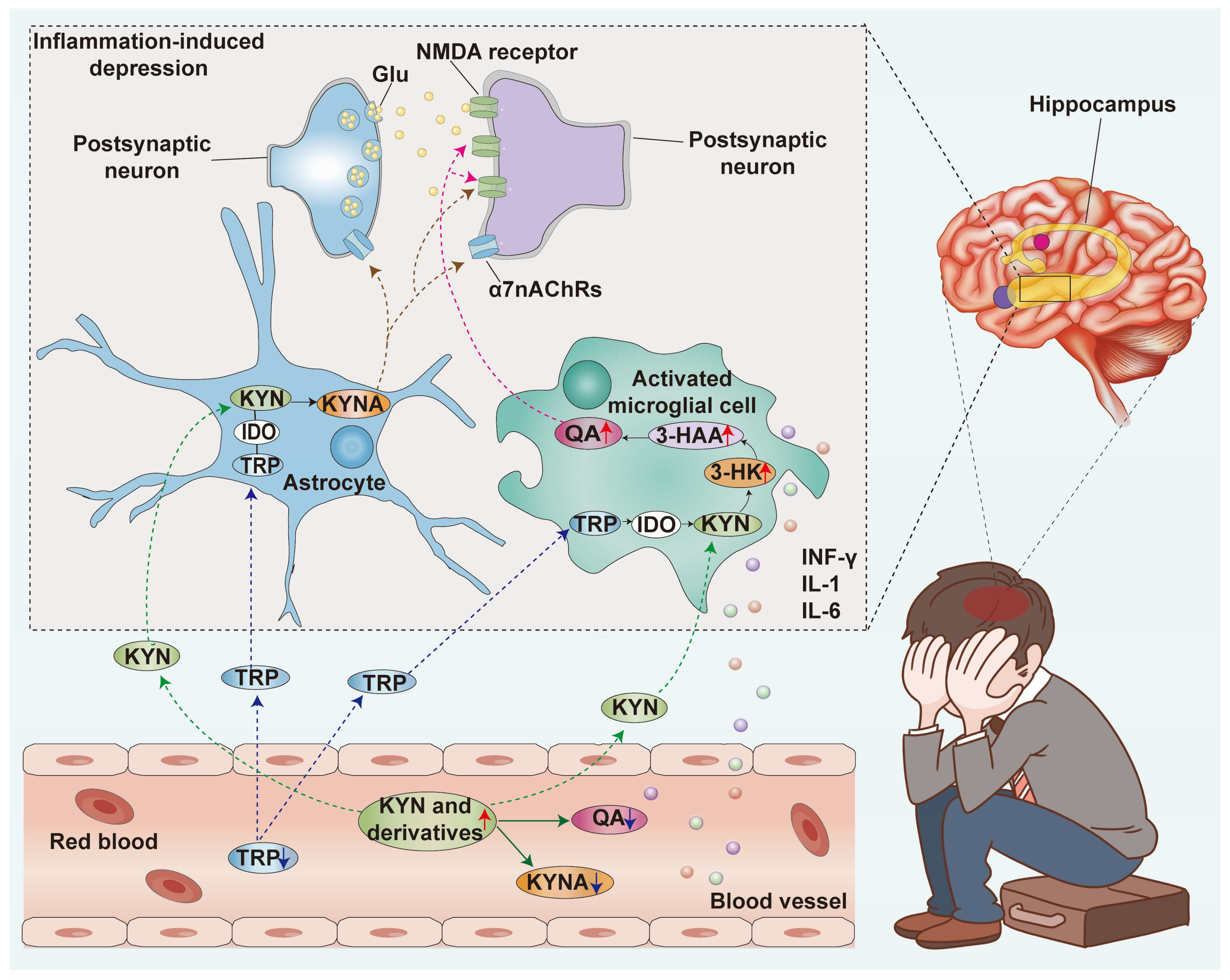 Nutrients 16 03380 g008