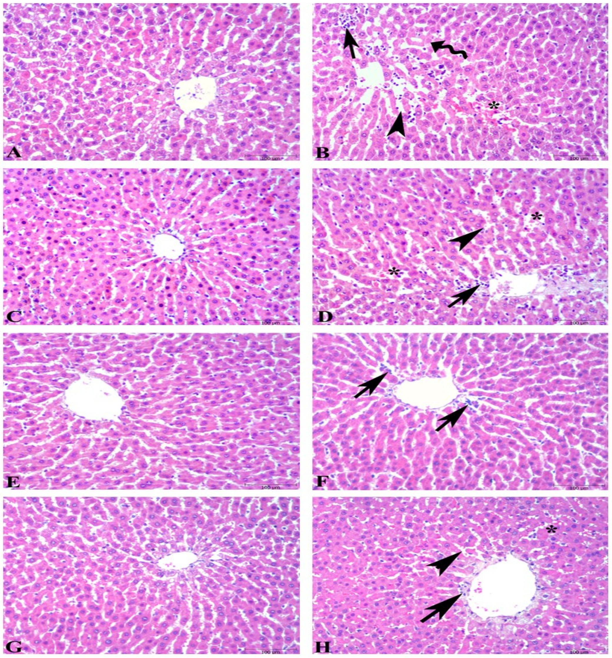 Nutrients 16 03426 g004
