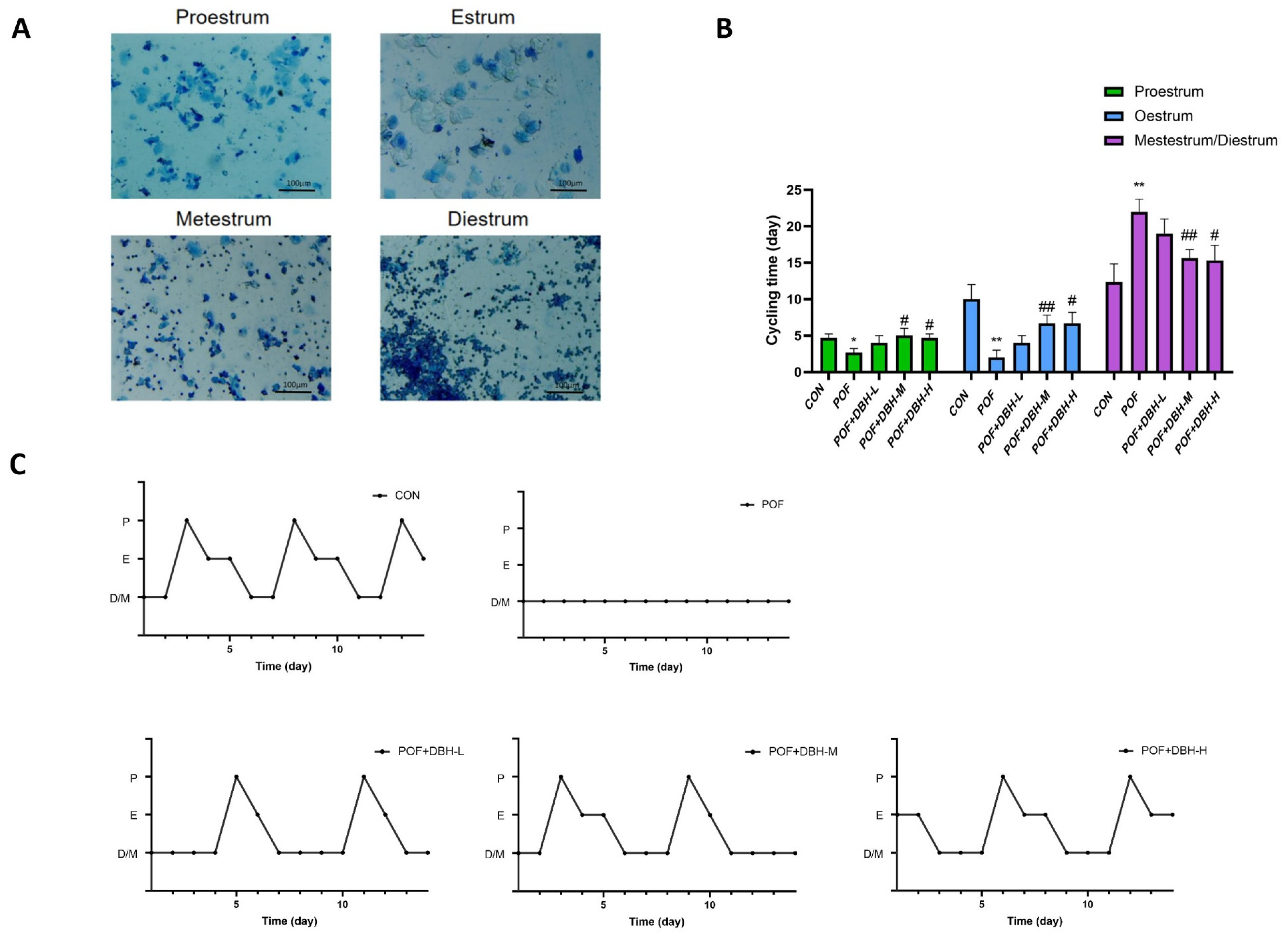 Nutrients 16 03473 g003