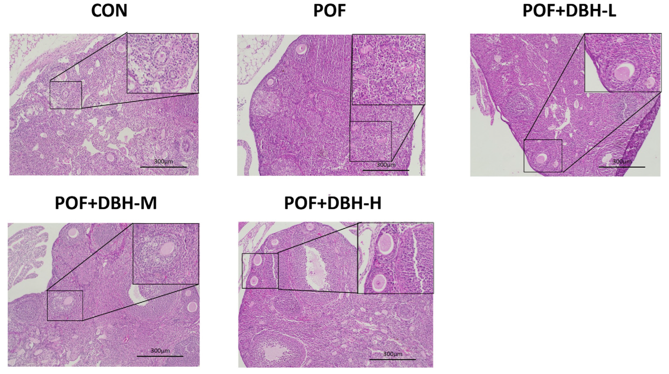 Nutrients 16 03473 g006