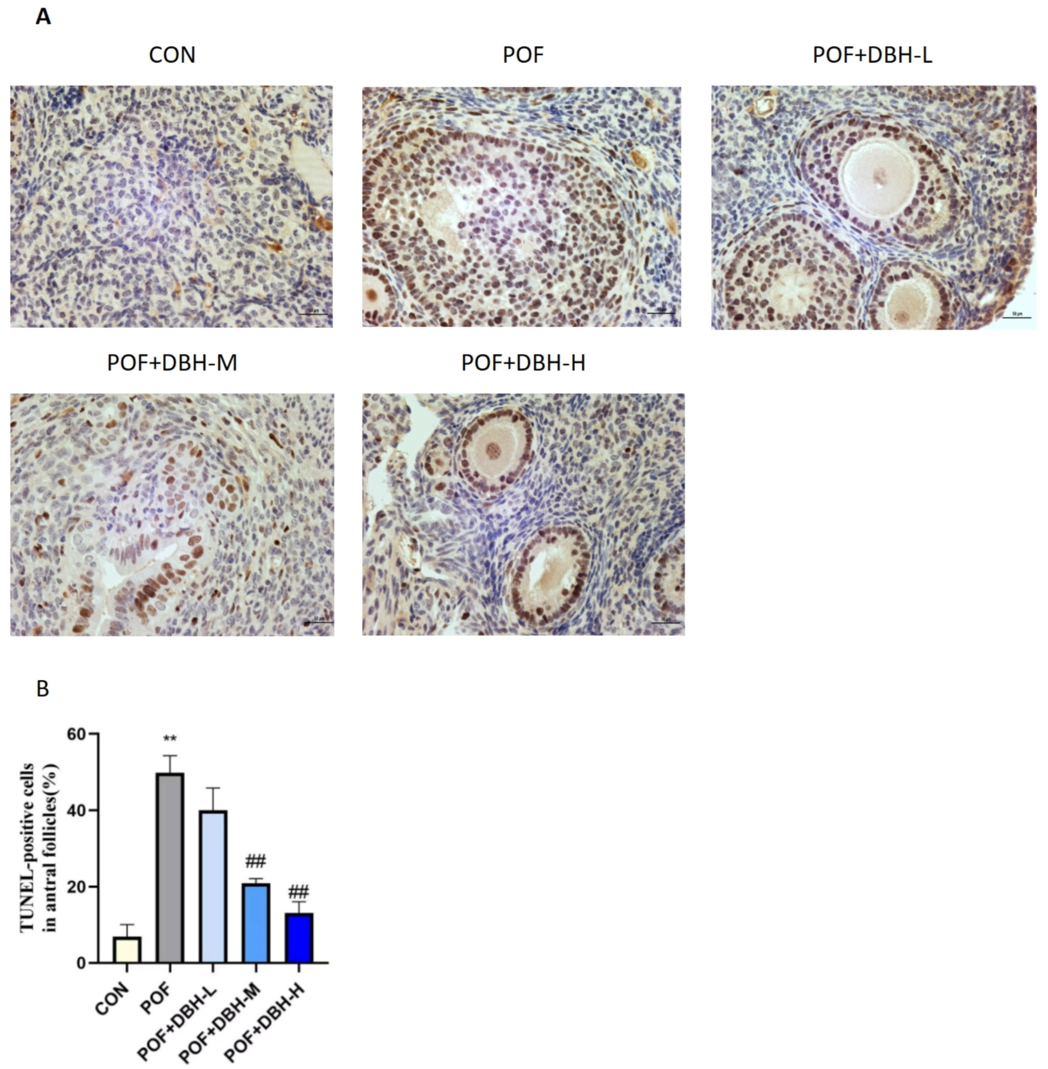 Nutrients 16 03473 g007