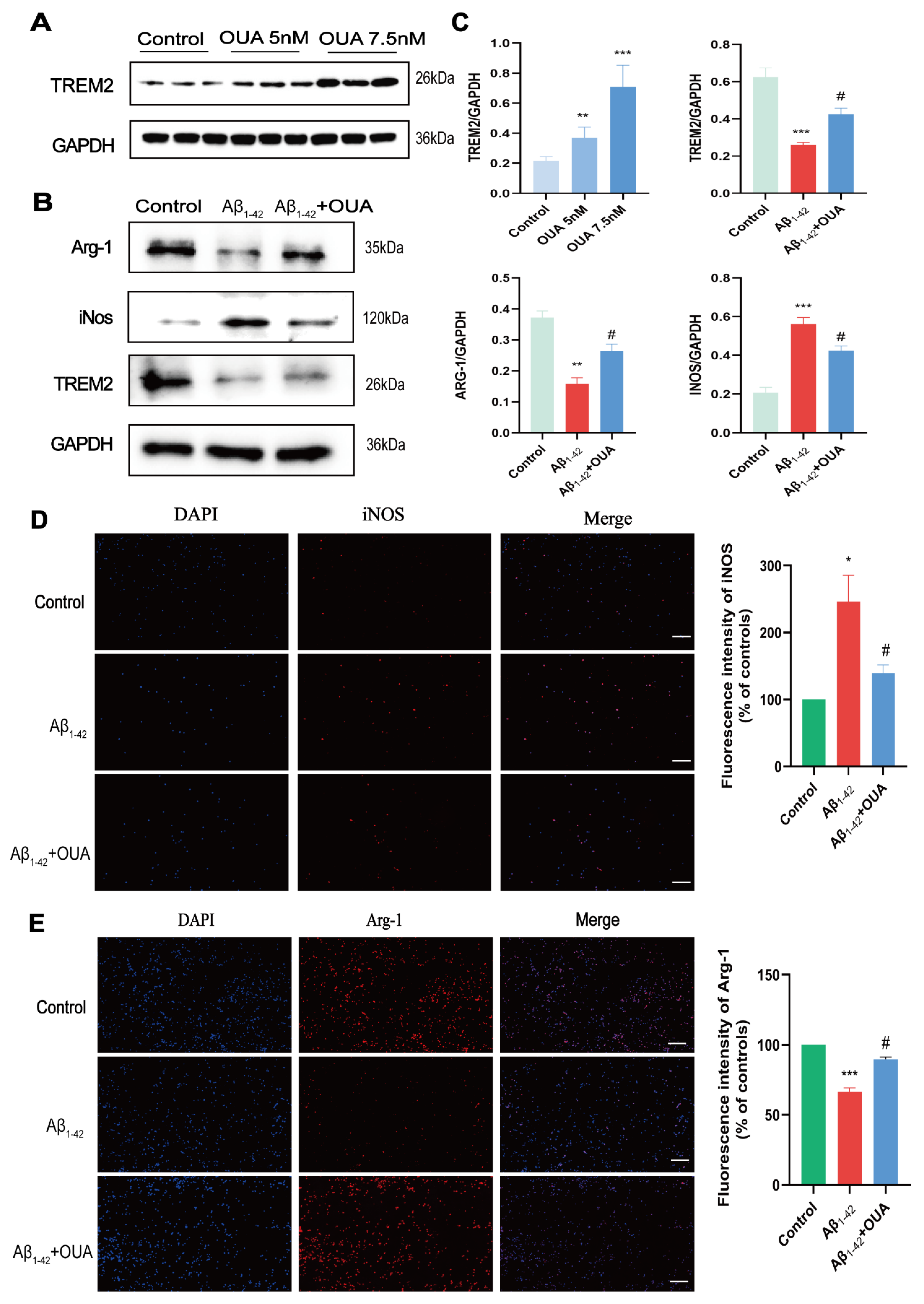 Nutrients 16 03558 g004