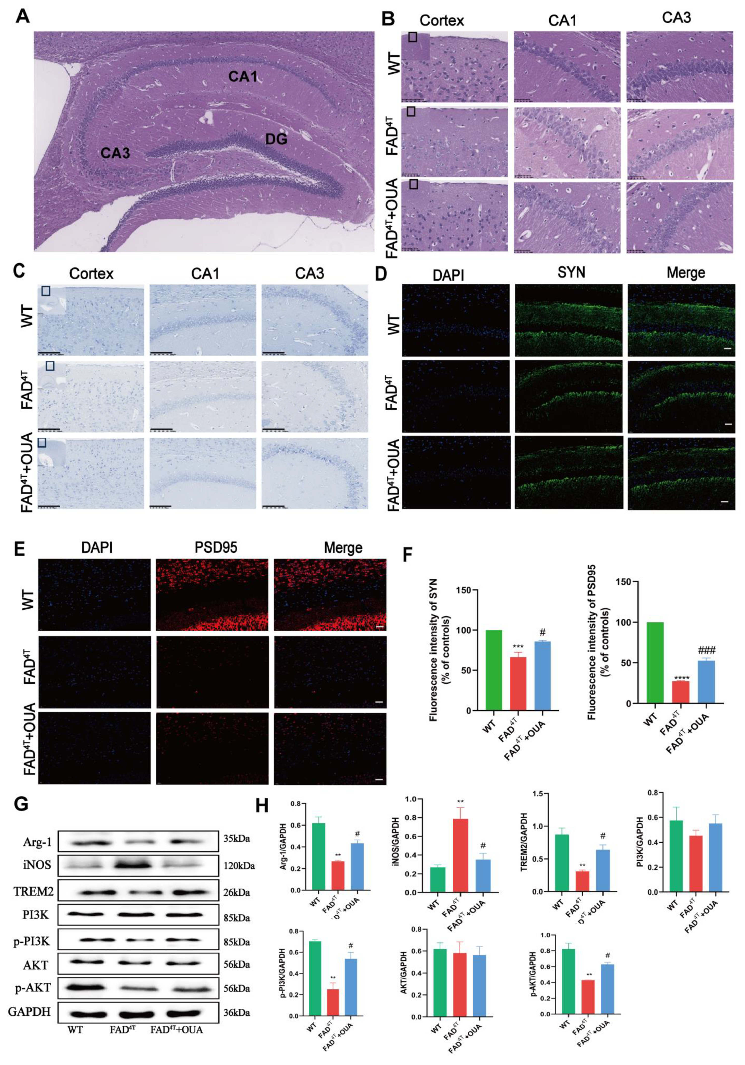 Nutrients 16 03558 g007