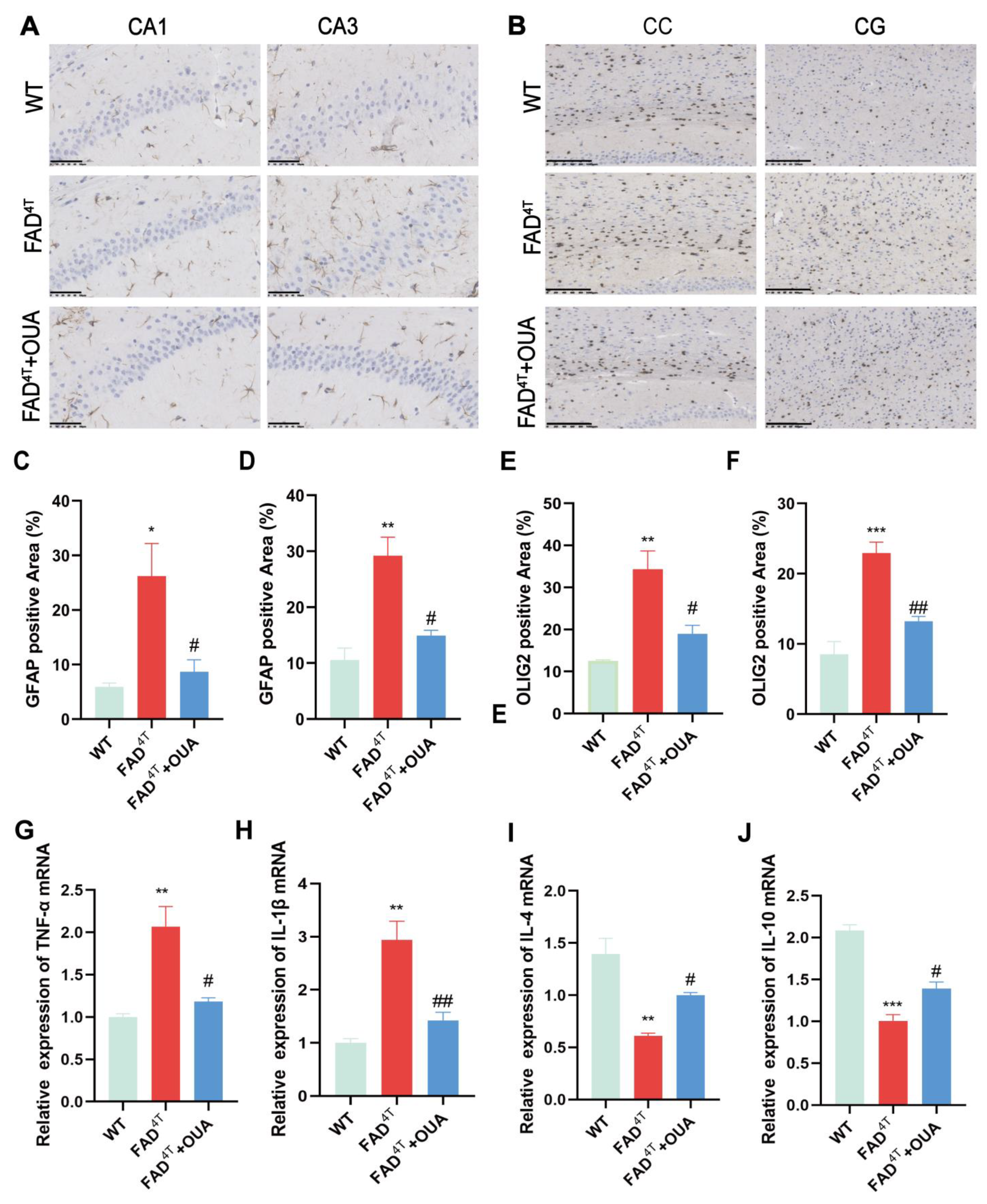 Nutrients 16 03558 g008