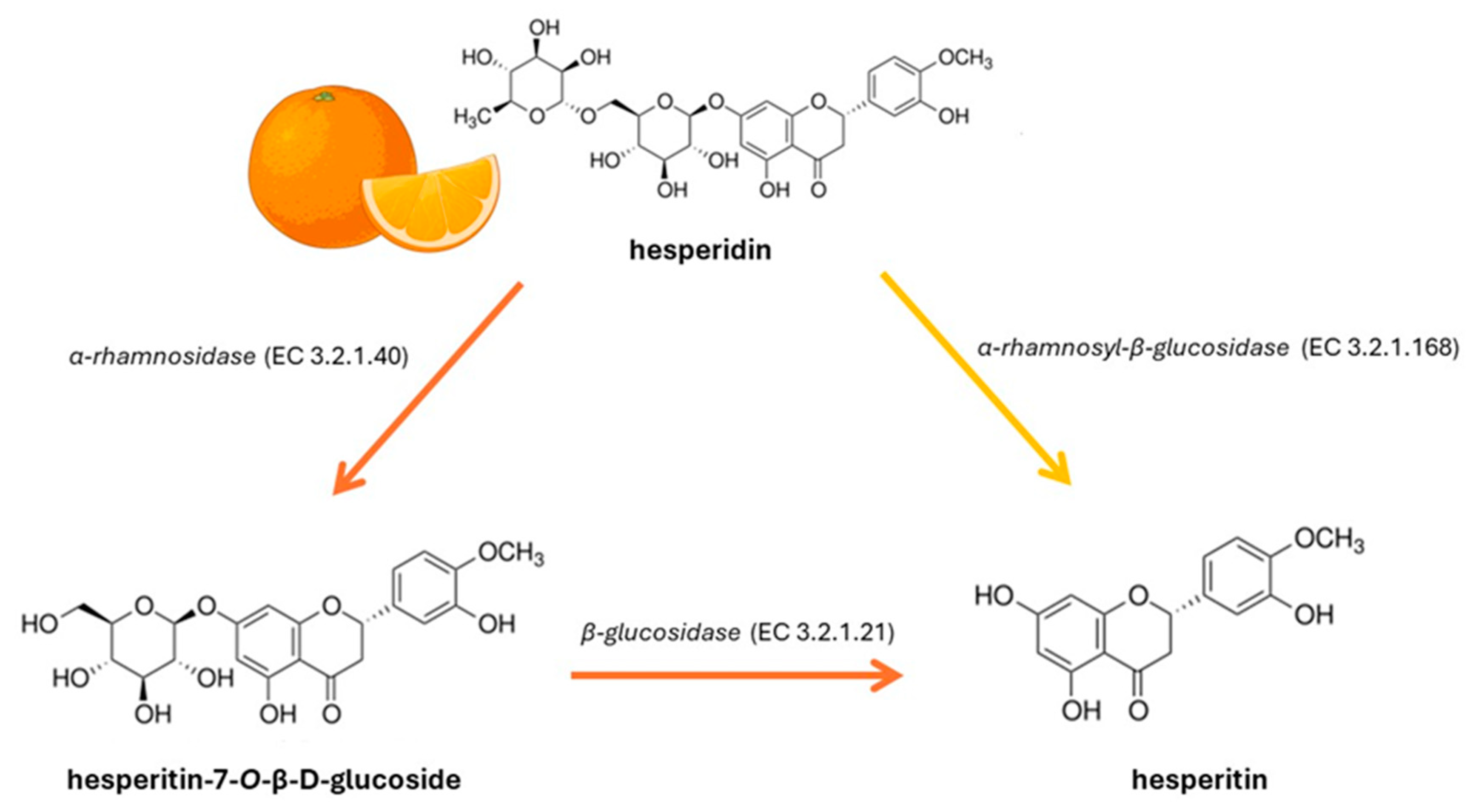 Nutrients 16 03625 g001