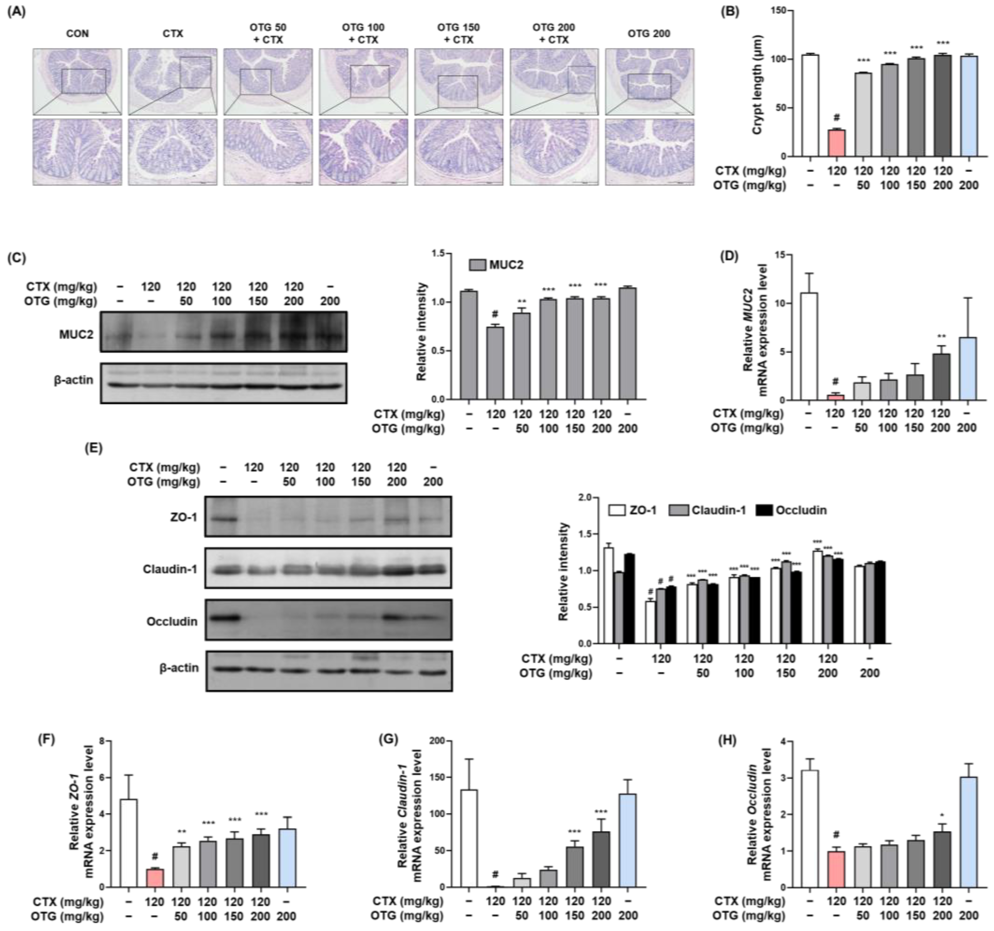 Nutrients 16 03629 g008