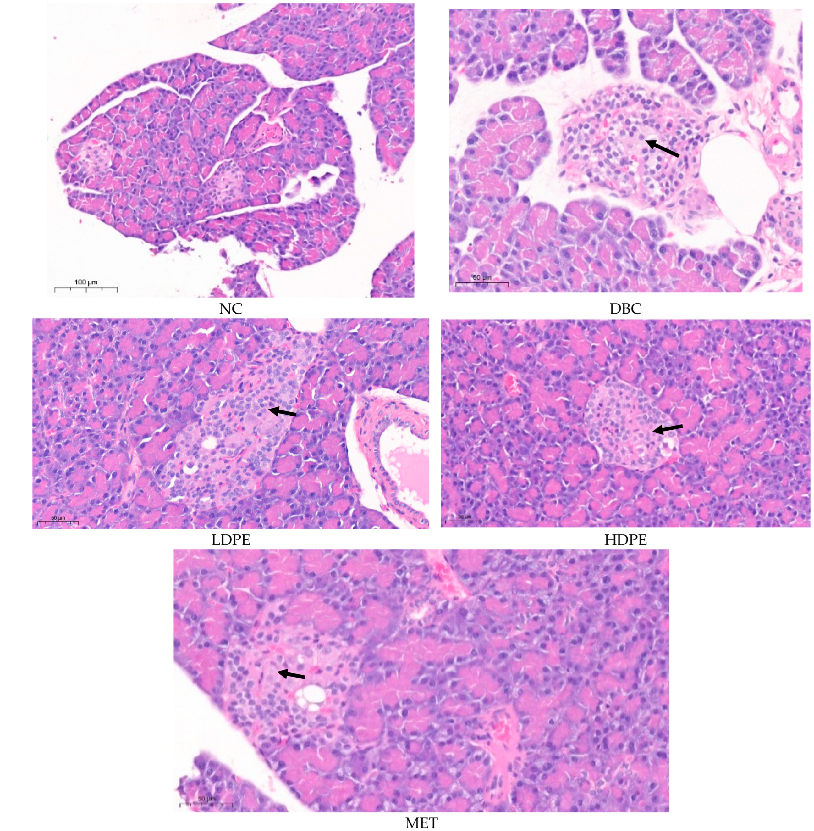 Nutrients 16 03644 g004