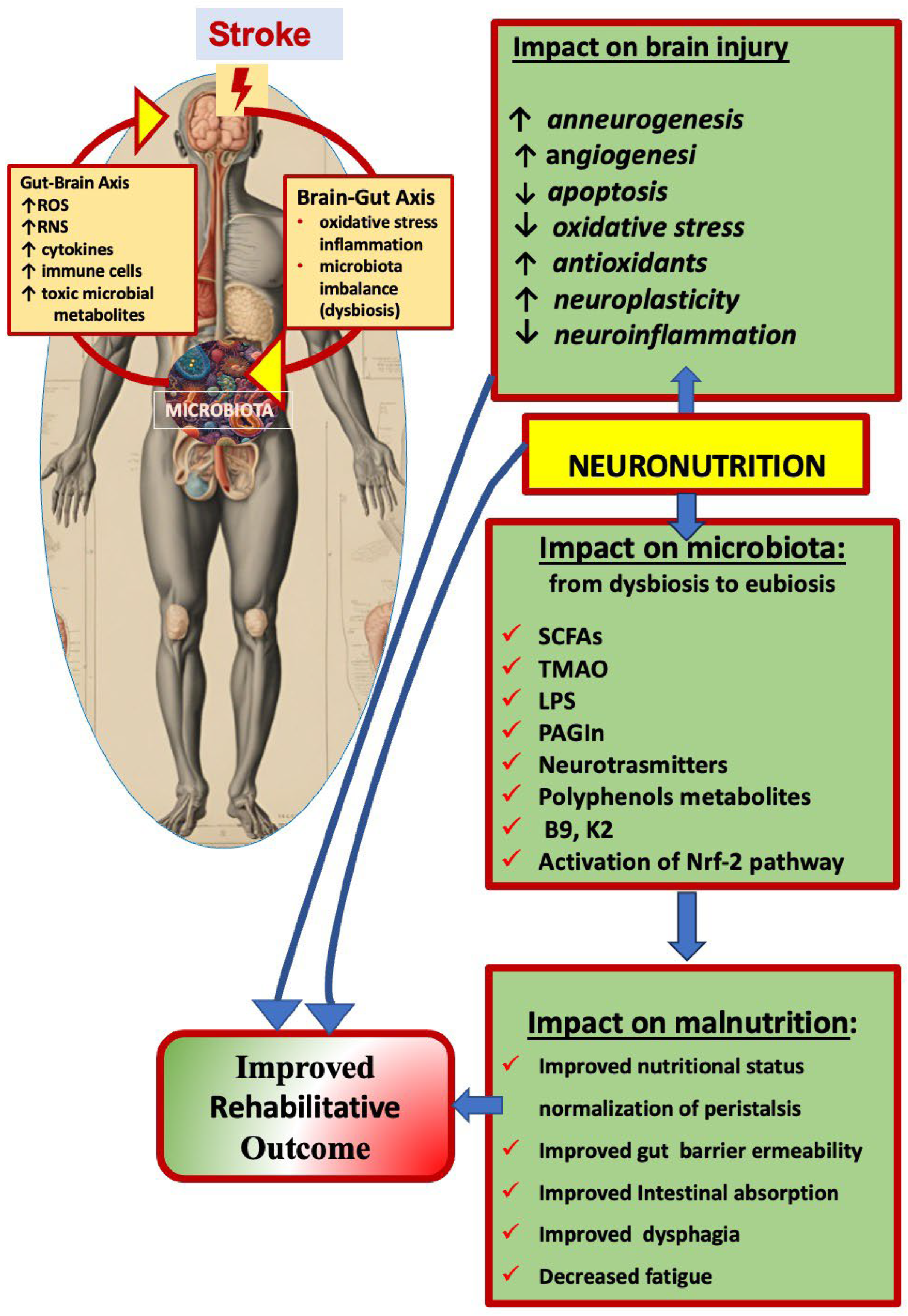 Nutrients 16 03705 g001 Nutrients 16 03705 g001