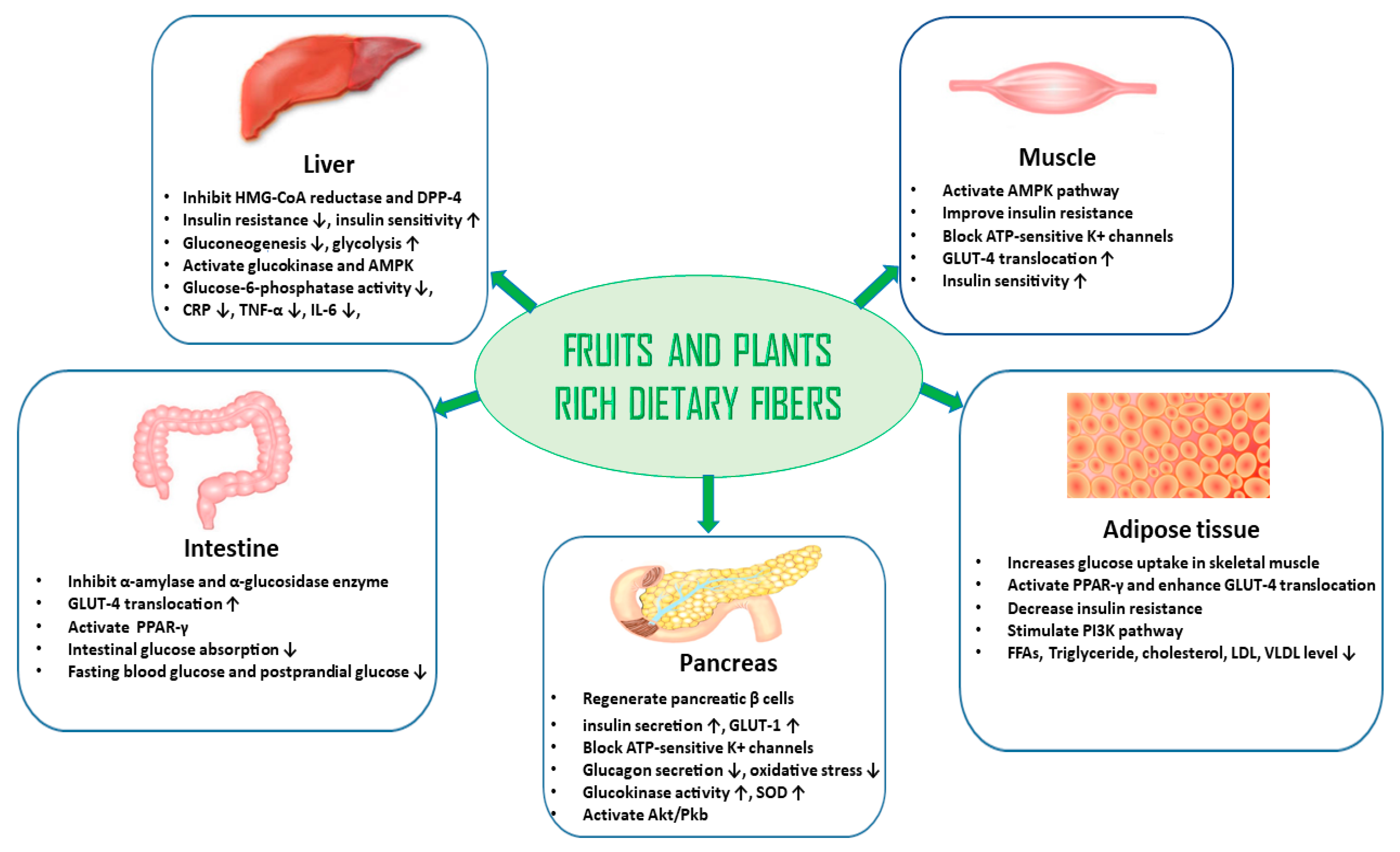 Nutrients 16 03709 g004