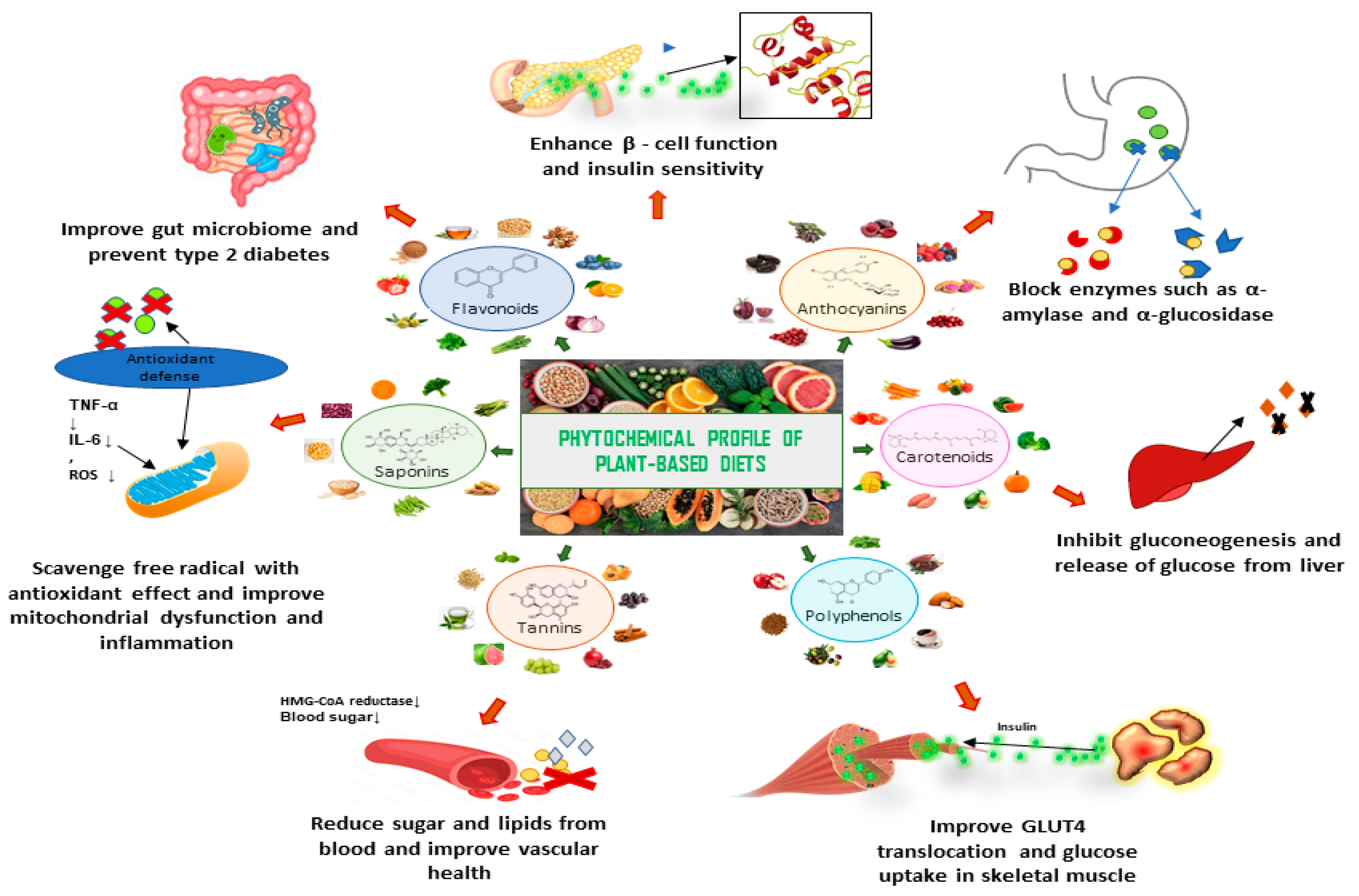 Nutrients 16 03709 g005