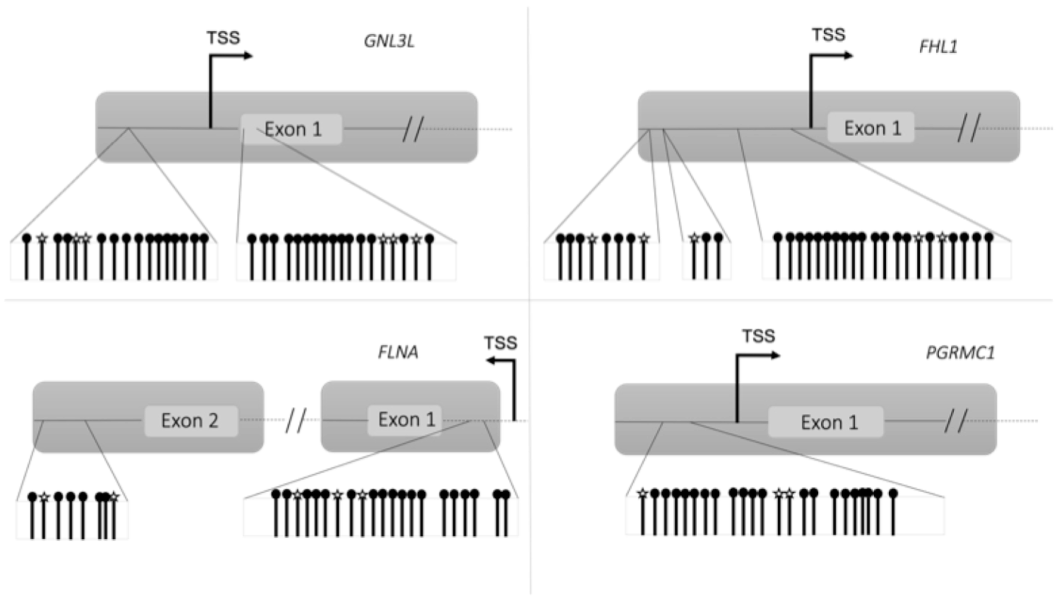 Nutrients 16 03721 g003