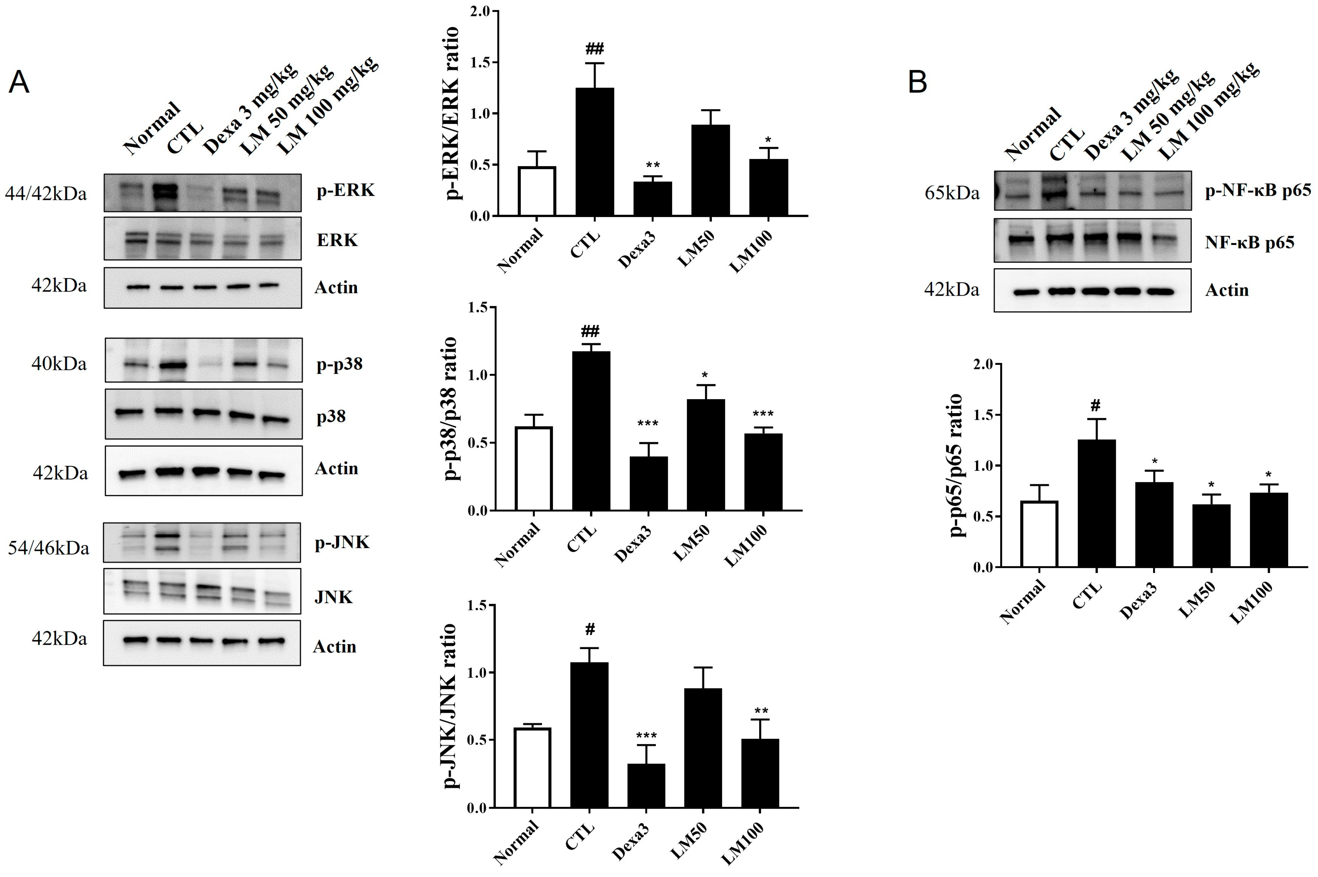 Nutrients 16 03732 g007